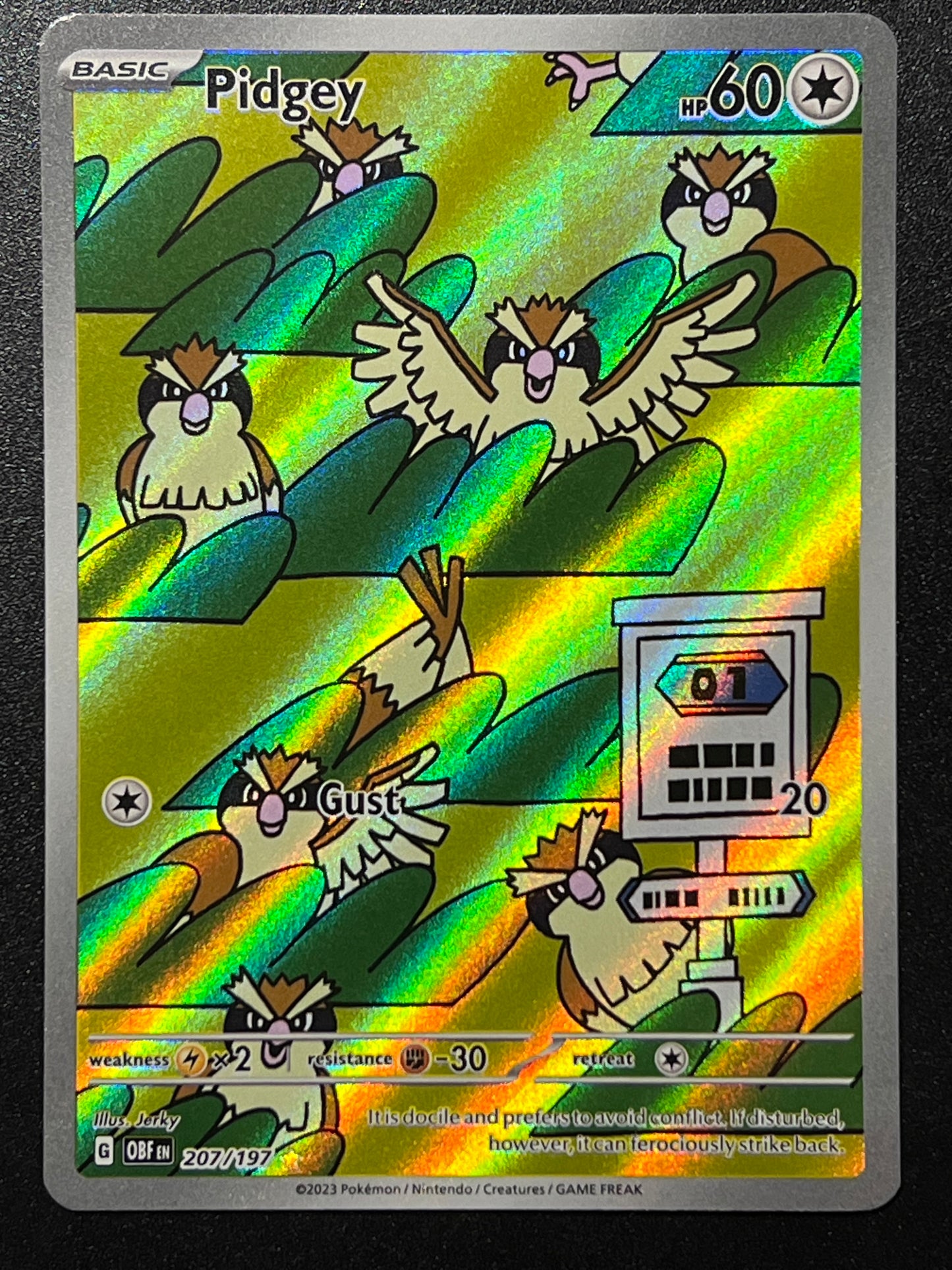 207/197 Pidgey - Pokémon Obsidian Flames Illustration Rare