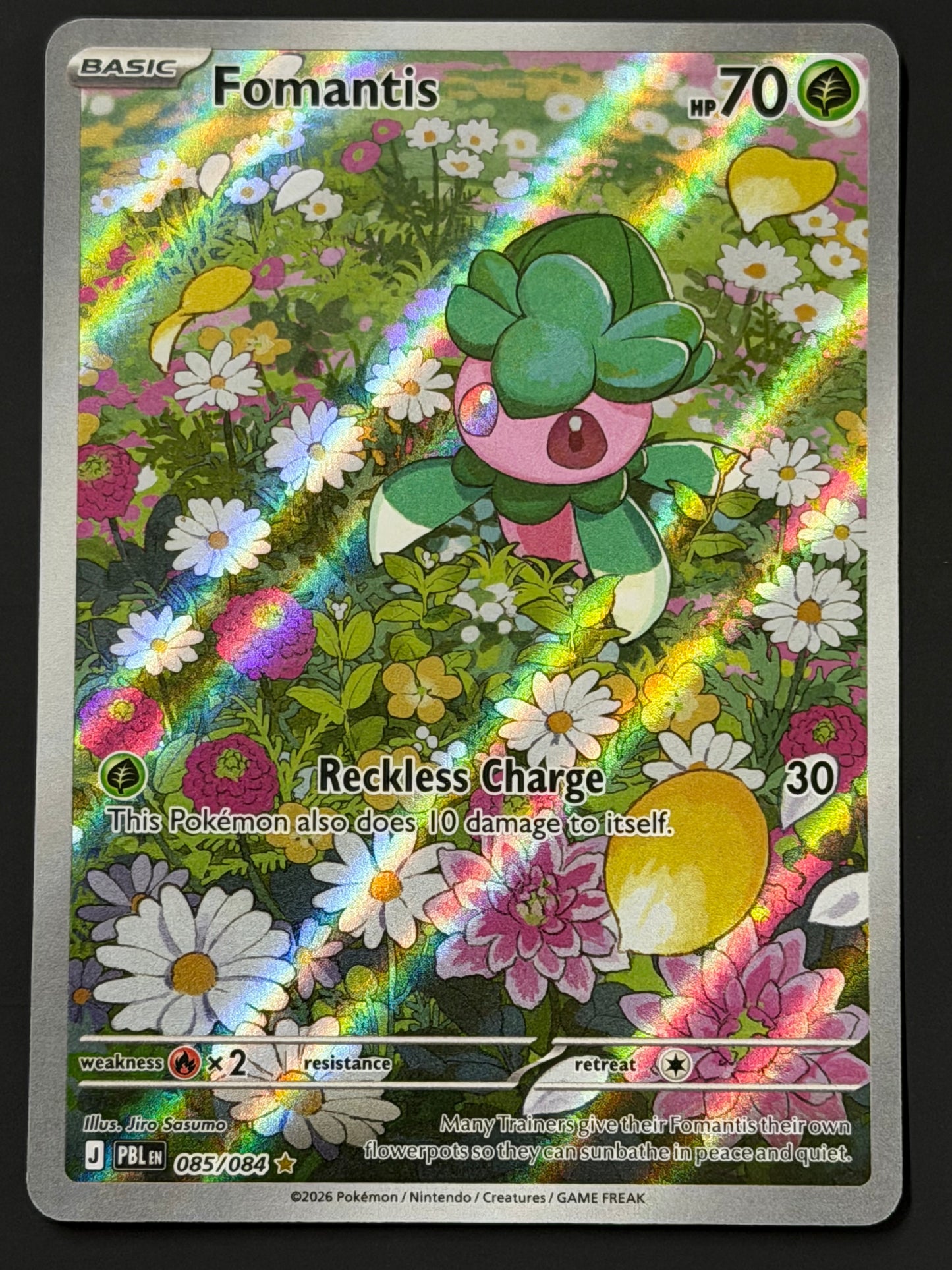 085/084 Fomantis - Pokémon Pitch Black Illustration Rare