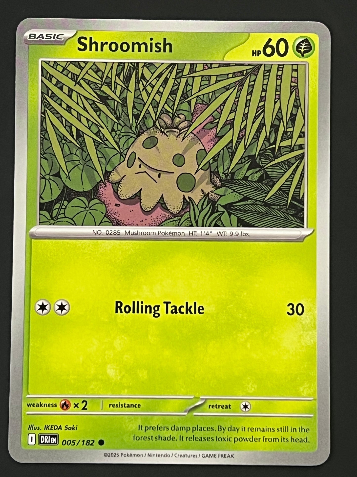 005/182 Shroomish - Pokémon Destined Rivals Common