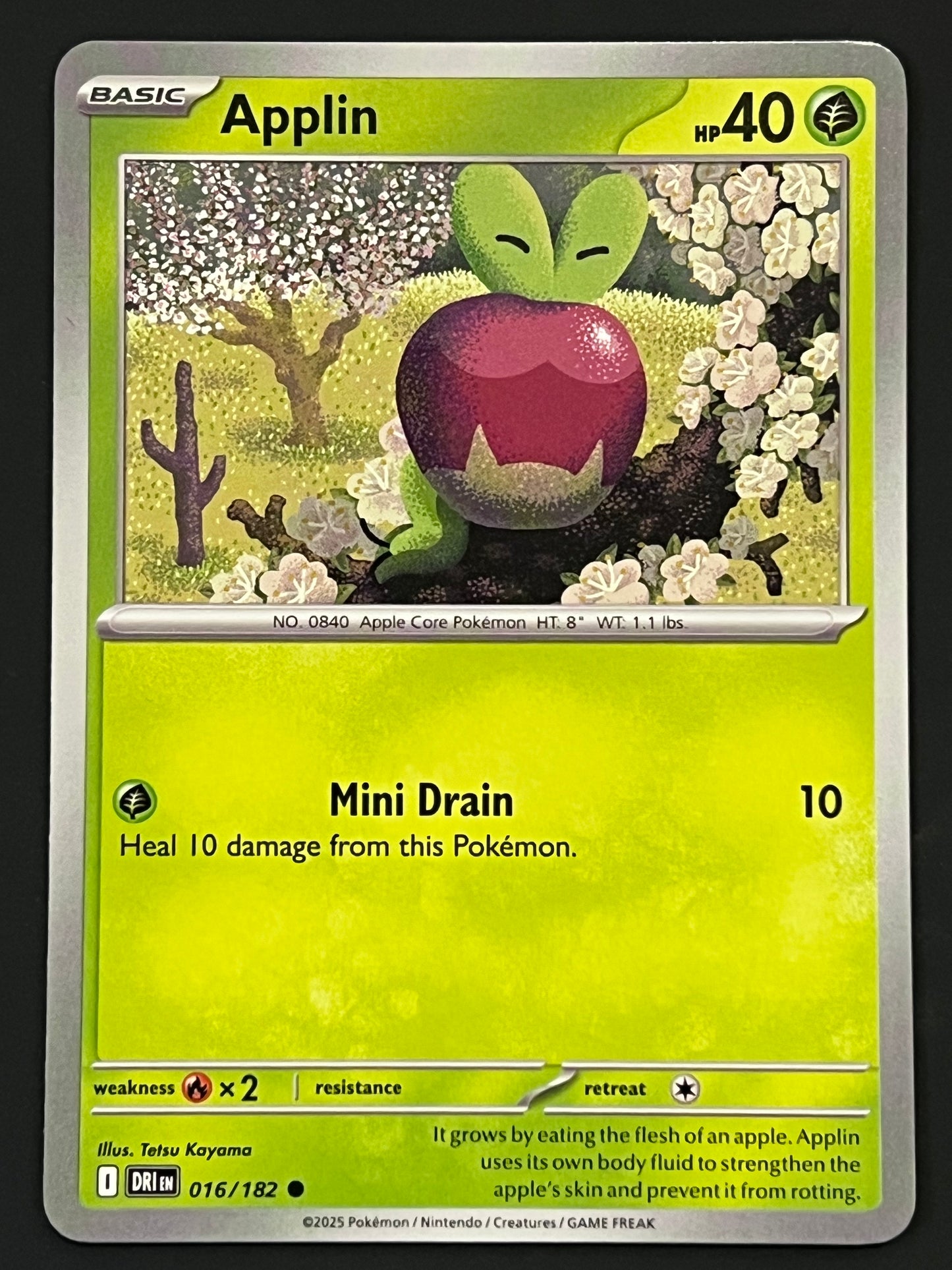016/182 Applin - Pokémon Destined Rivals Common
