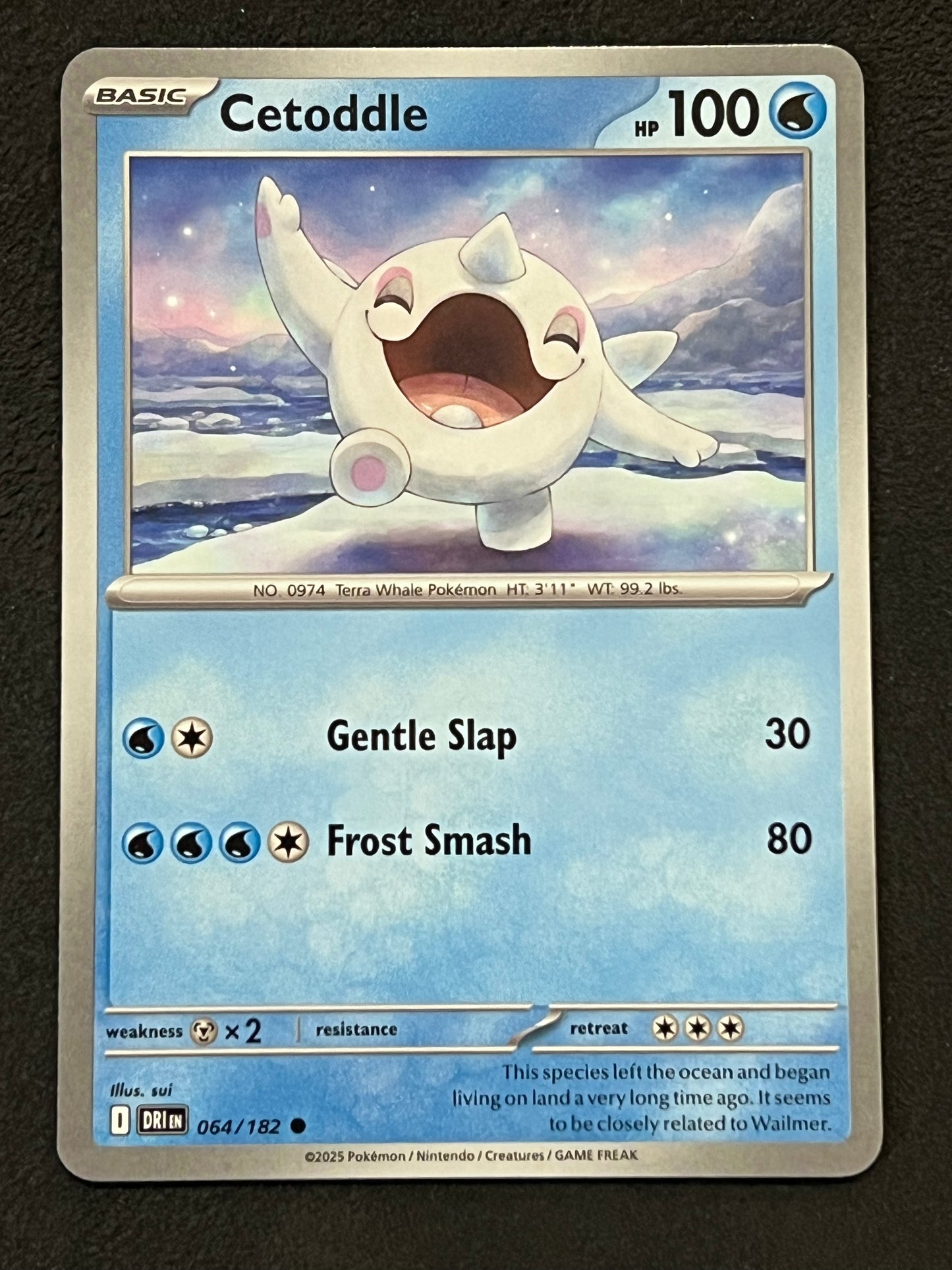 064/182 Cetoddle - Pokémon Destined Rivals Common