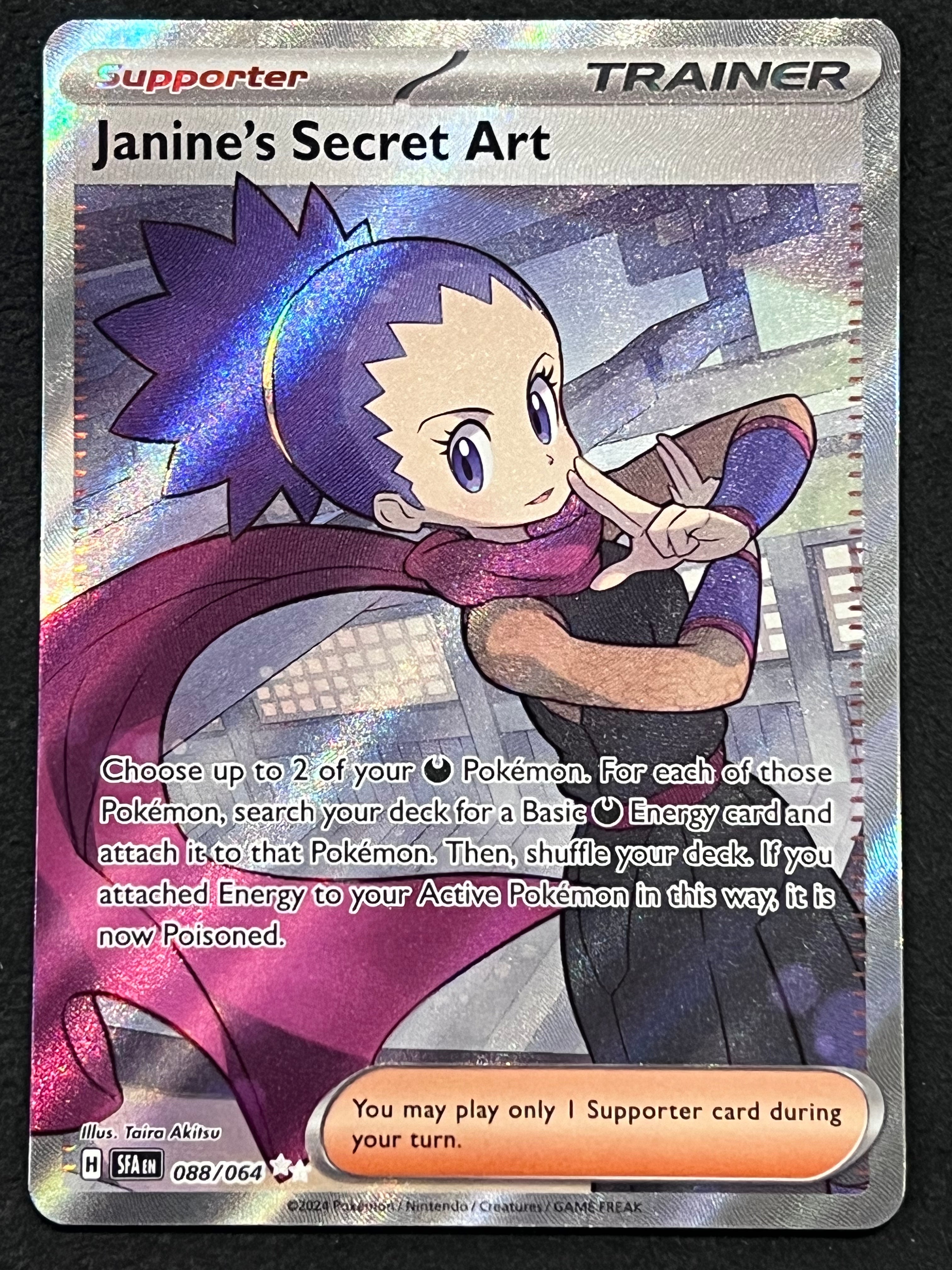 088/064 Janine's Secret Art
