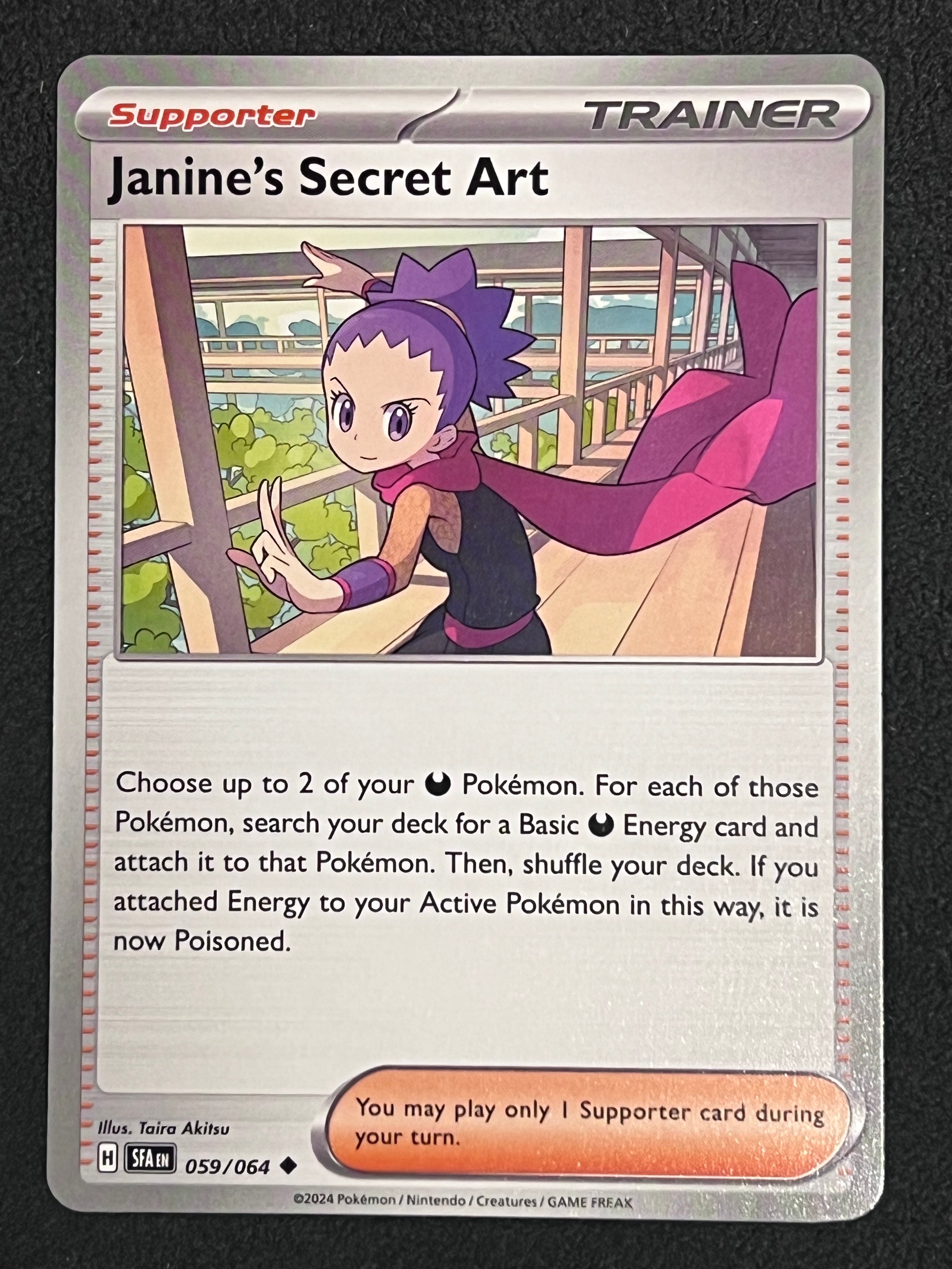 059/064 Janine's Secret Art
