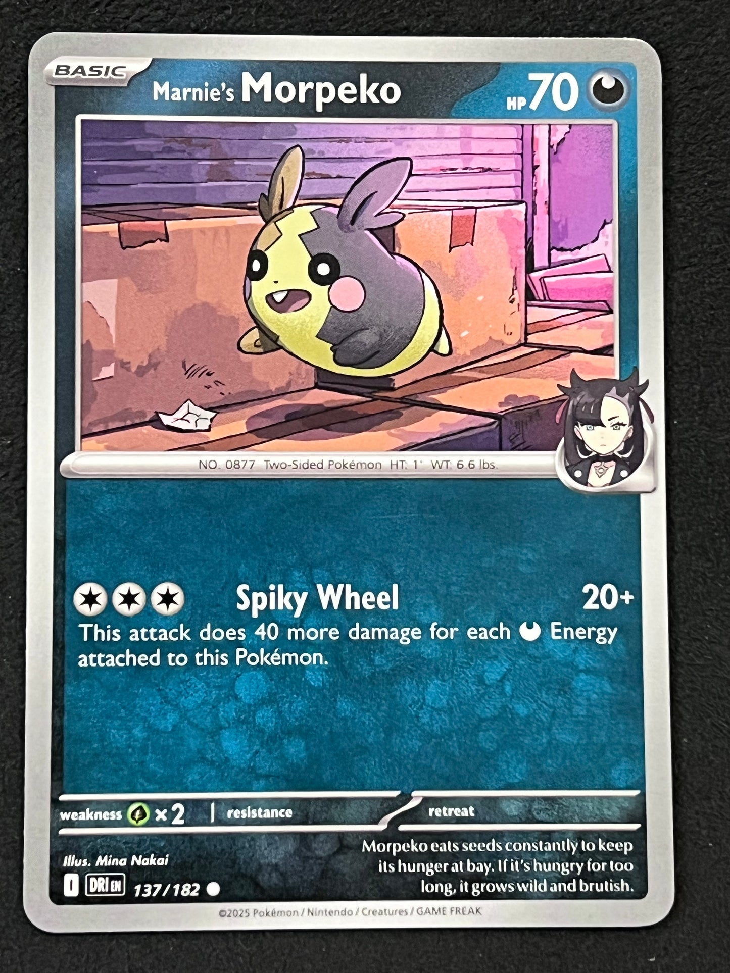 137/182 Marnie’s Morpeko - Pokémon Destined Rivals Common