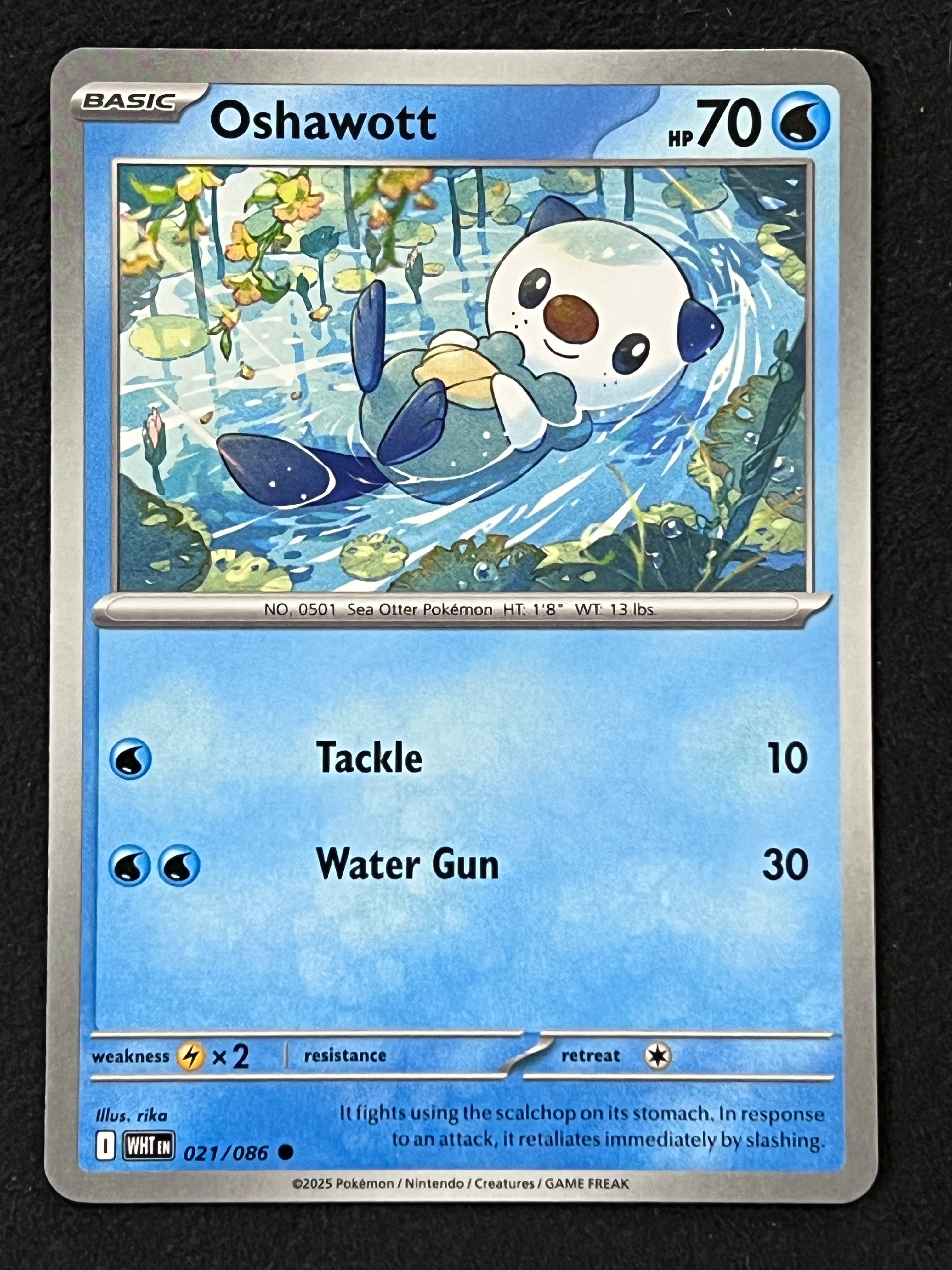 oshawott pokemon cards 021/086 Oshawott