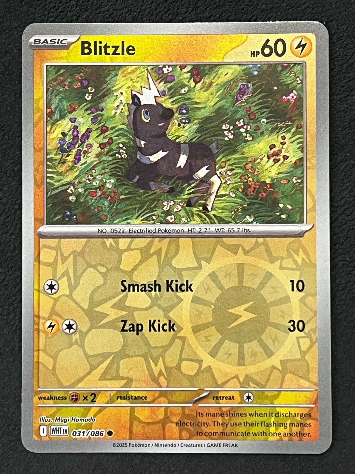 031/086 Blitzle - Pokémon White Flare Common Reverse
