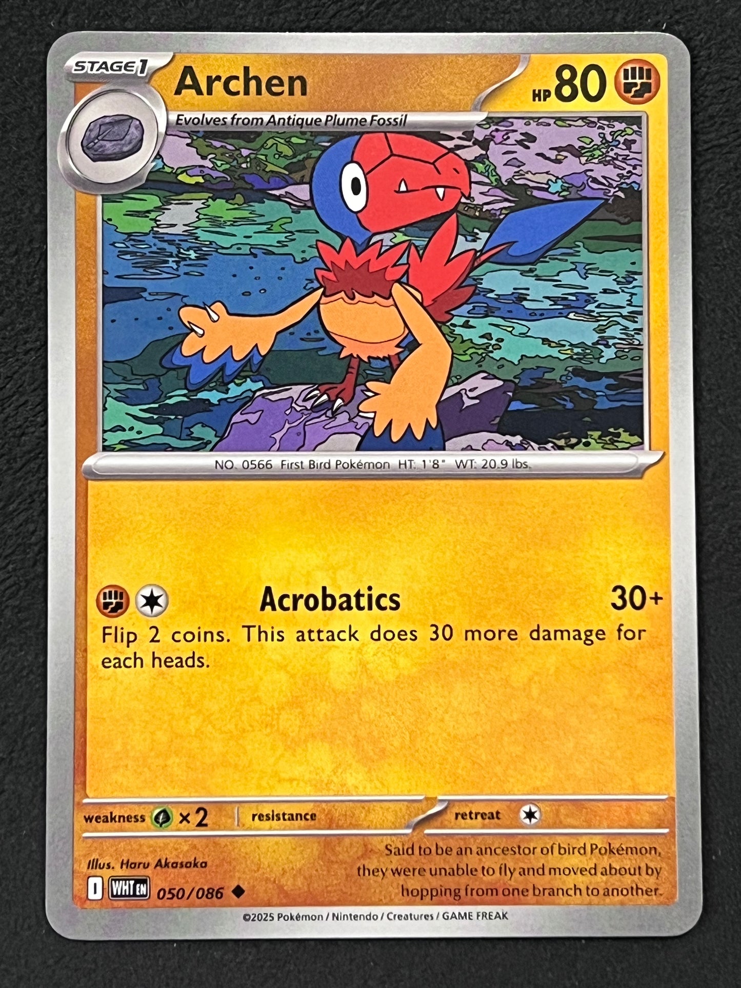 050/086 Archen - Pokémon White Flare Uncommon