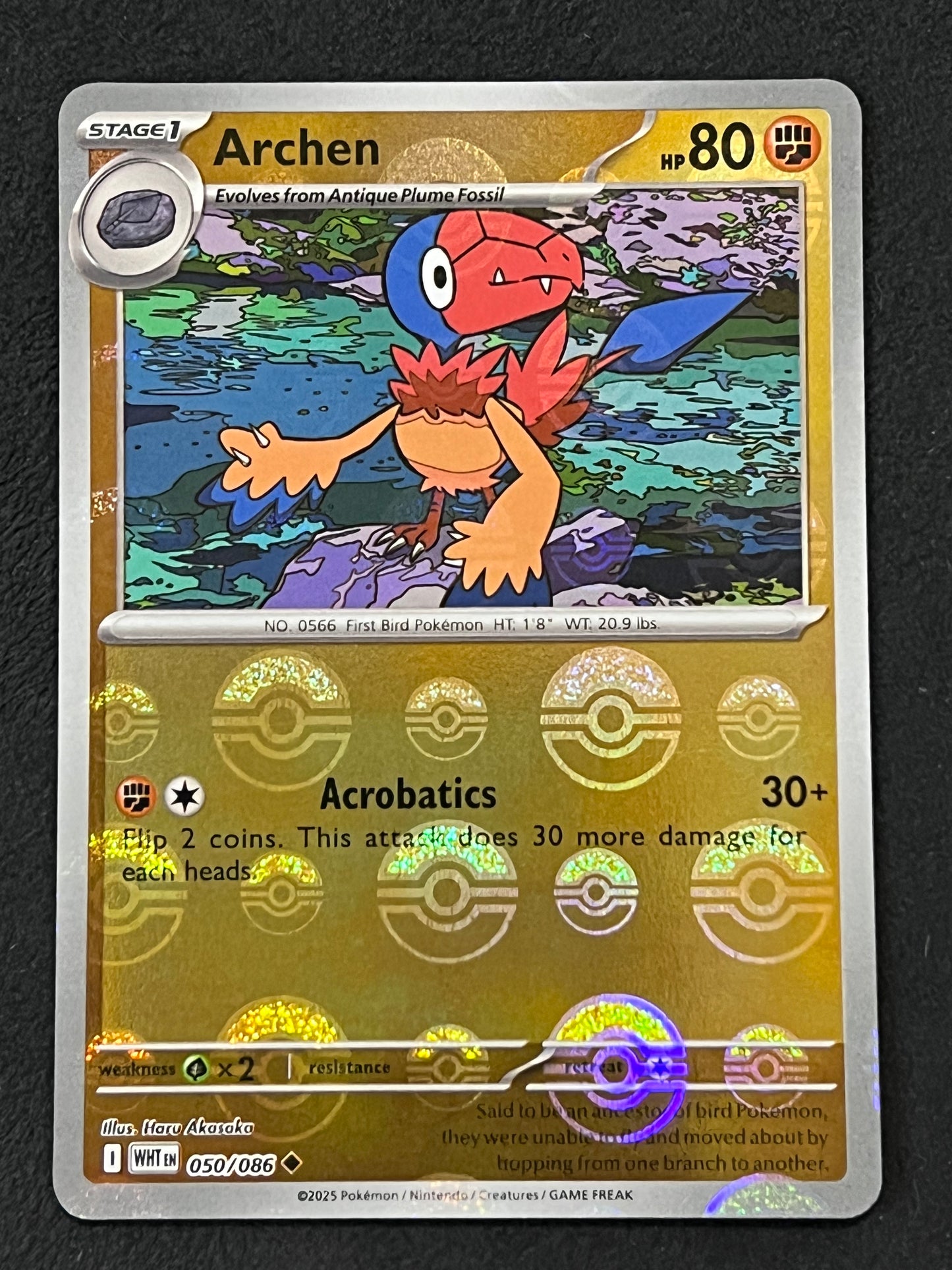 050/086 Archen - Pokémon White Flare Uncommon Reverse POKEBALL