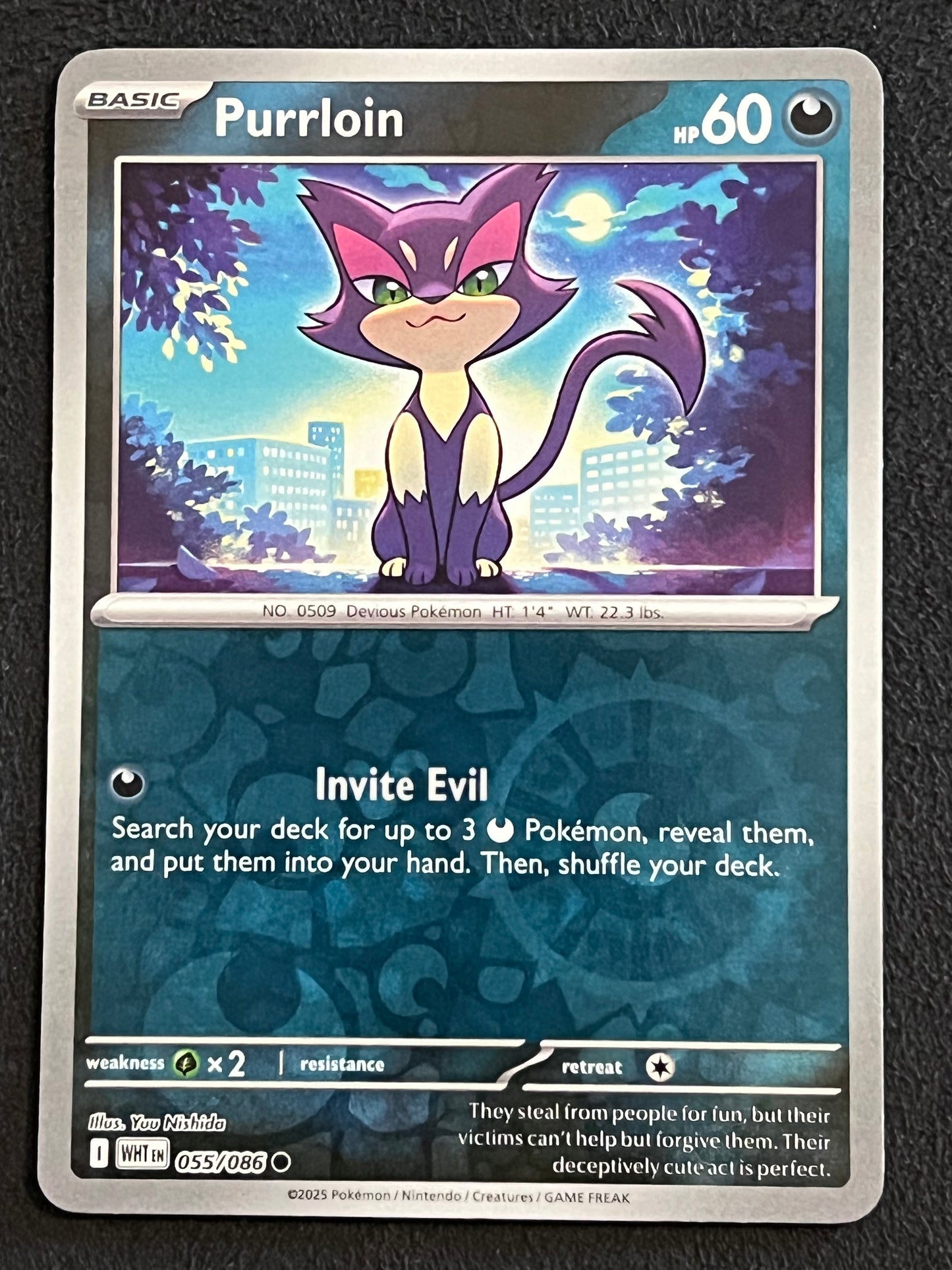 055/086 Purrloin - Pokémon White Flare Common Reverse