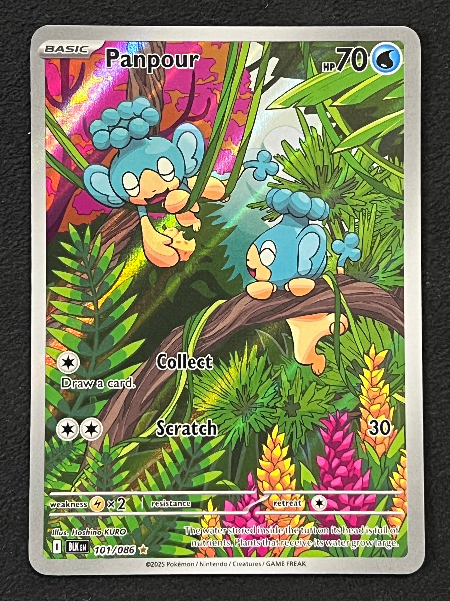 101/086 Panpour - Pokémon Black Bolt Illustration Rare