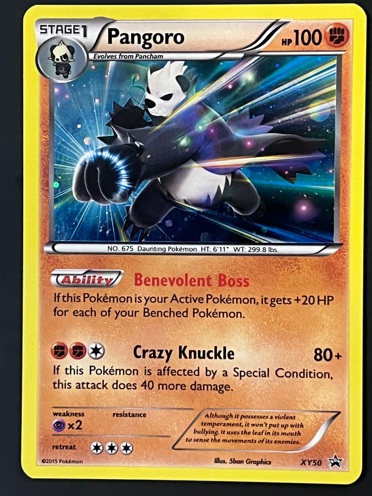 XY050 Pangoro - Black Star Promo