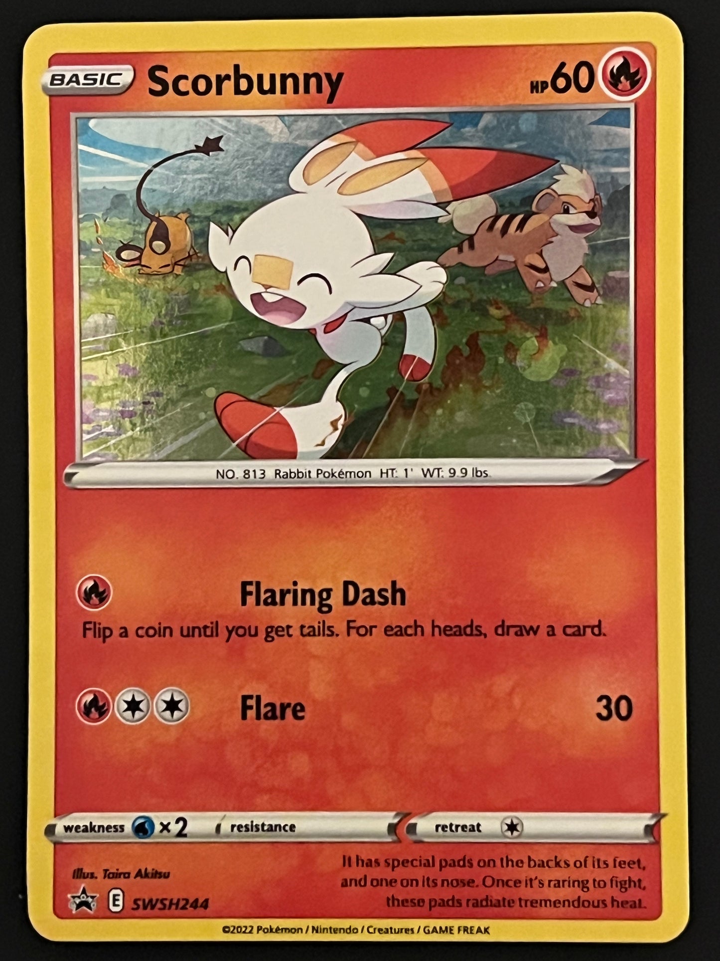 SWSH244 Scorbunny - Black Star Promo