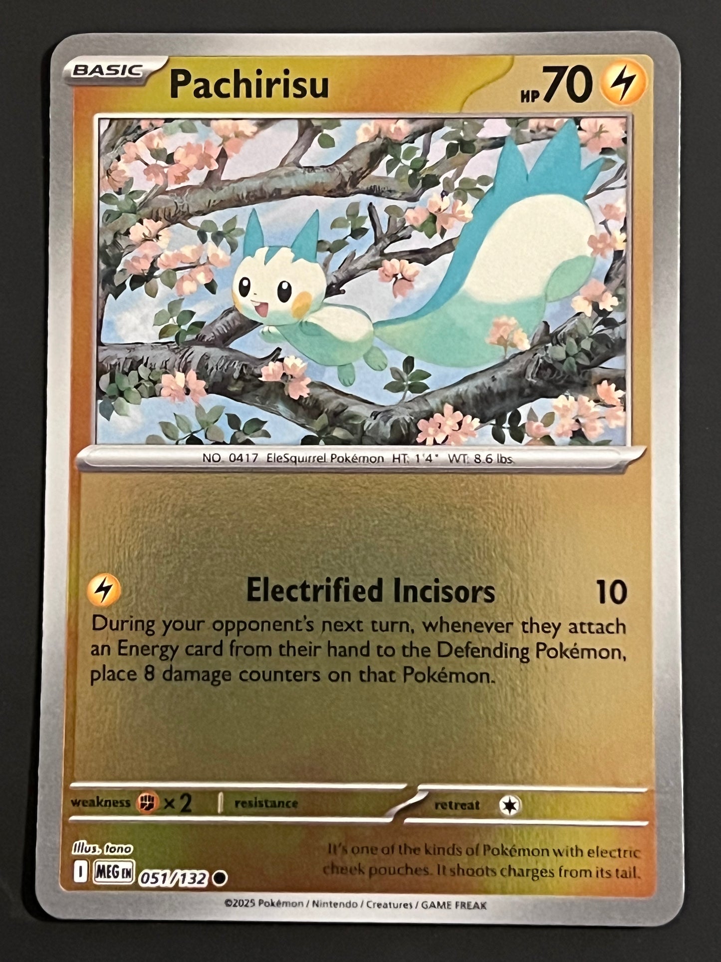 051/132 Pachirisu - Pokémon Mega Evolution Base Common Reverse
