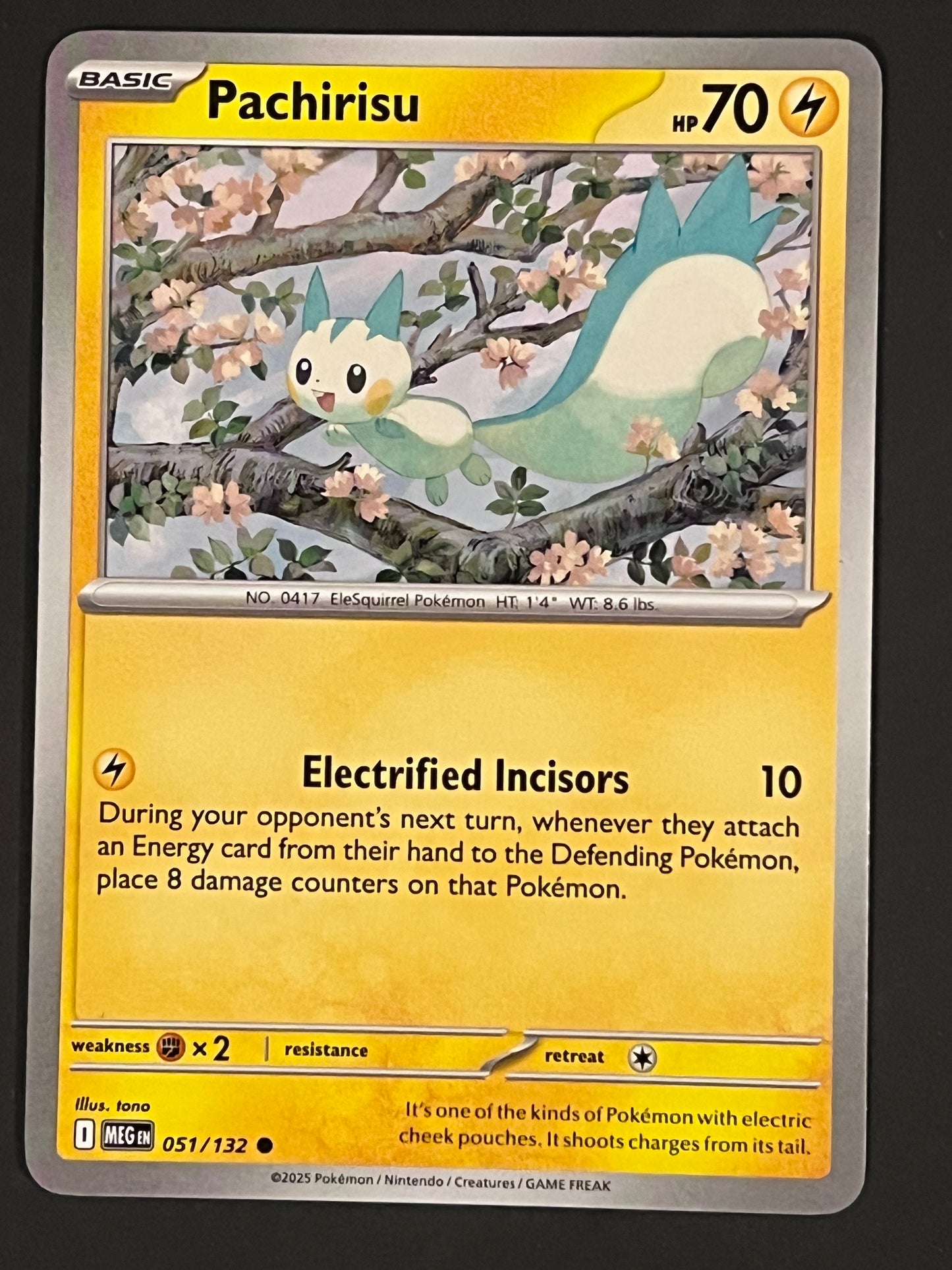 051/132 Pachirisu - Pokémon Mega Evolution Base Common