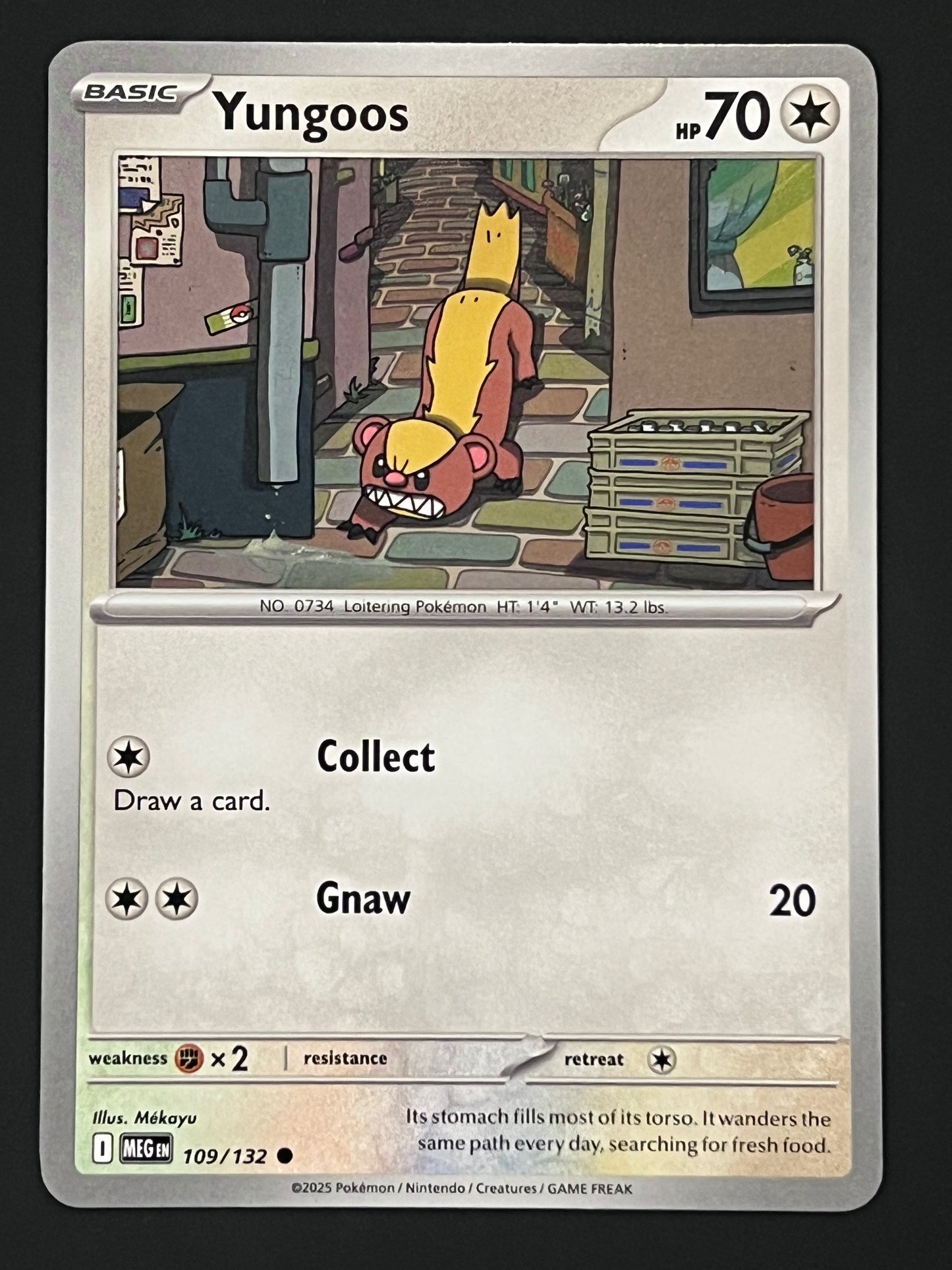 109/132 Yungoos - Pokémon Mega Evolution Base Common