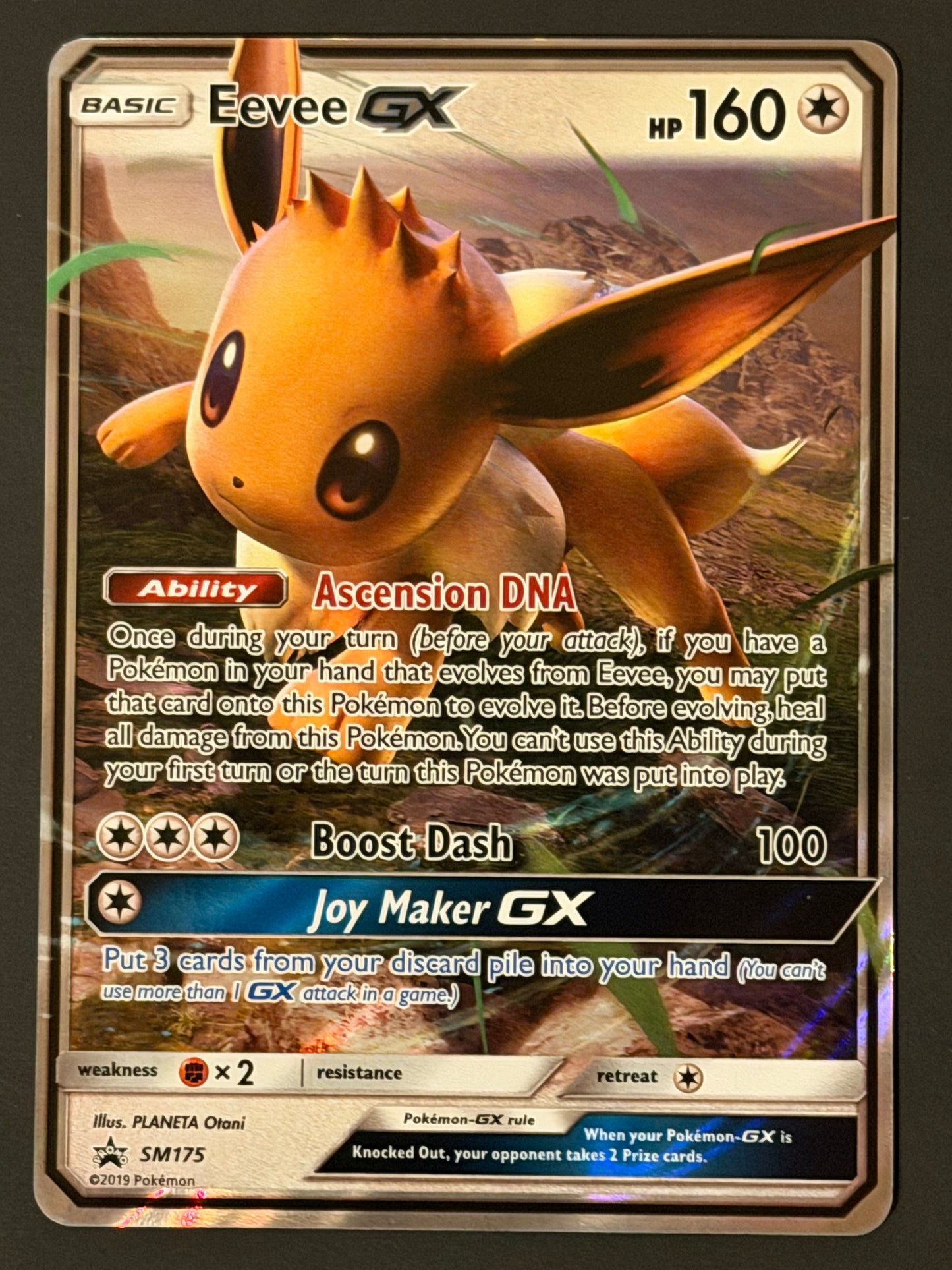 SM175 Eevee Gx - Pokémon Black Star Promo