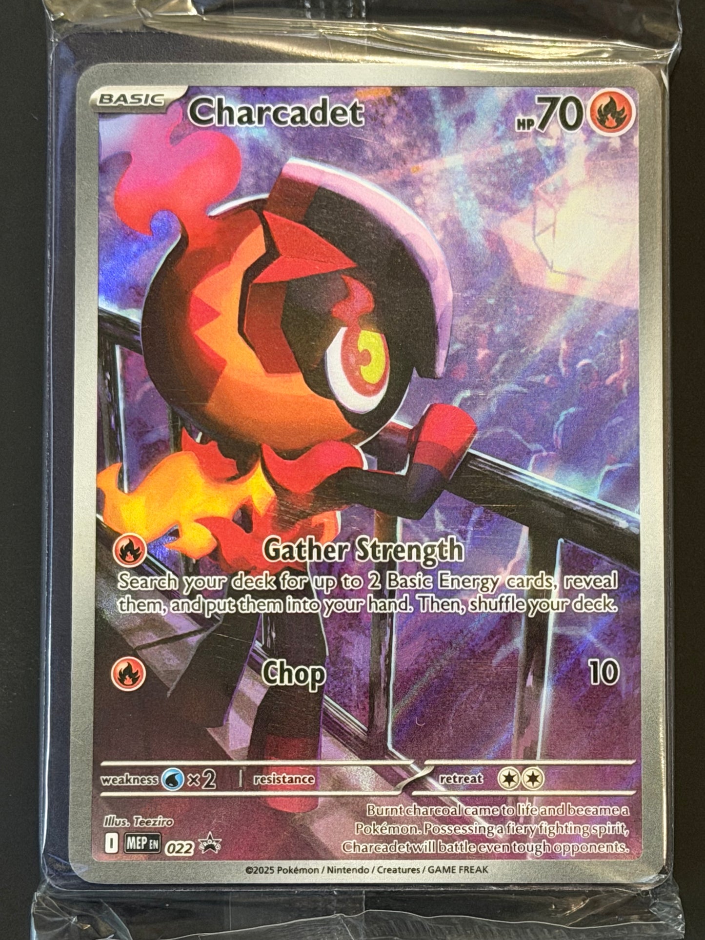 MEP022 Charcadet (SEALED) - Pokémon Black Star Promo