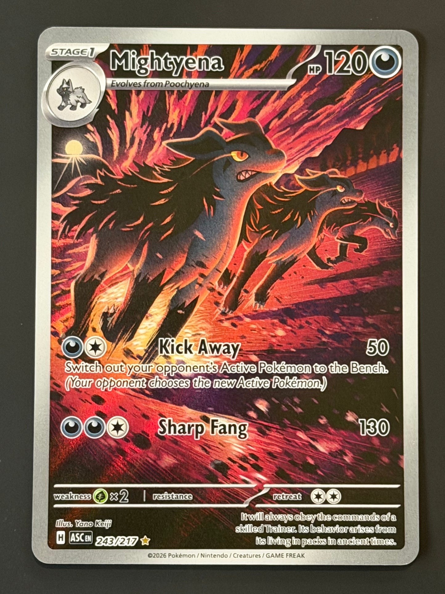 243/217 Mightyena - Pokémon Ascended Heroes Illustration Rare