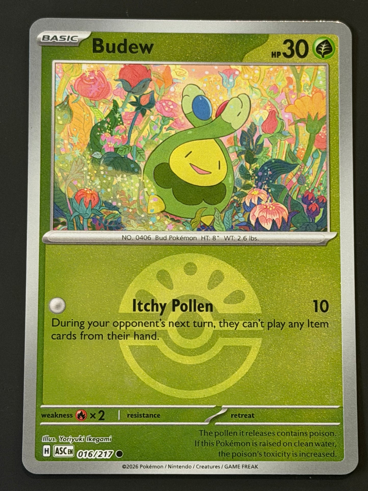 016/217 Budew - Pokémon Ascended Heroes Common Reverse FRIENDBALL