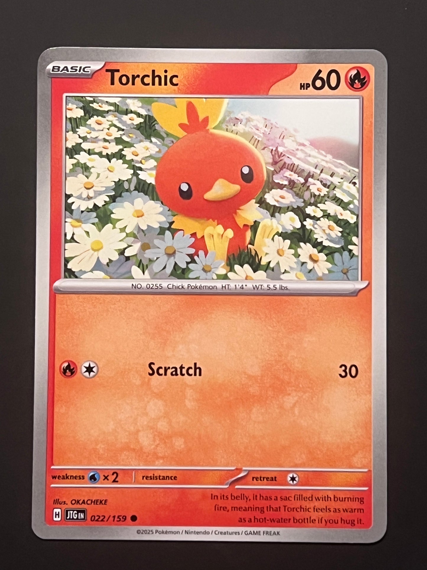022/159 Torchic - Pokémon Journey Together Common
