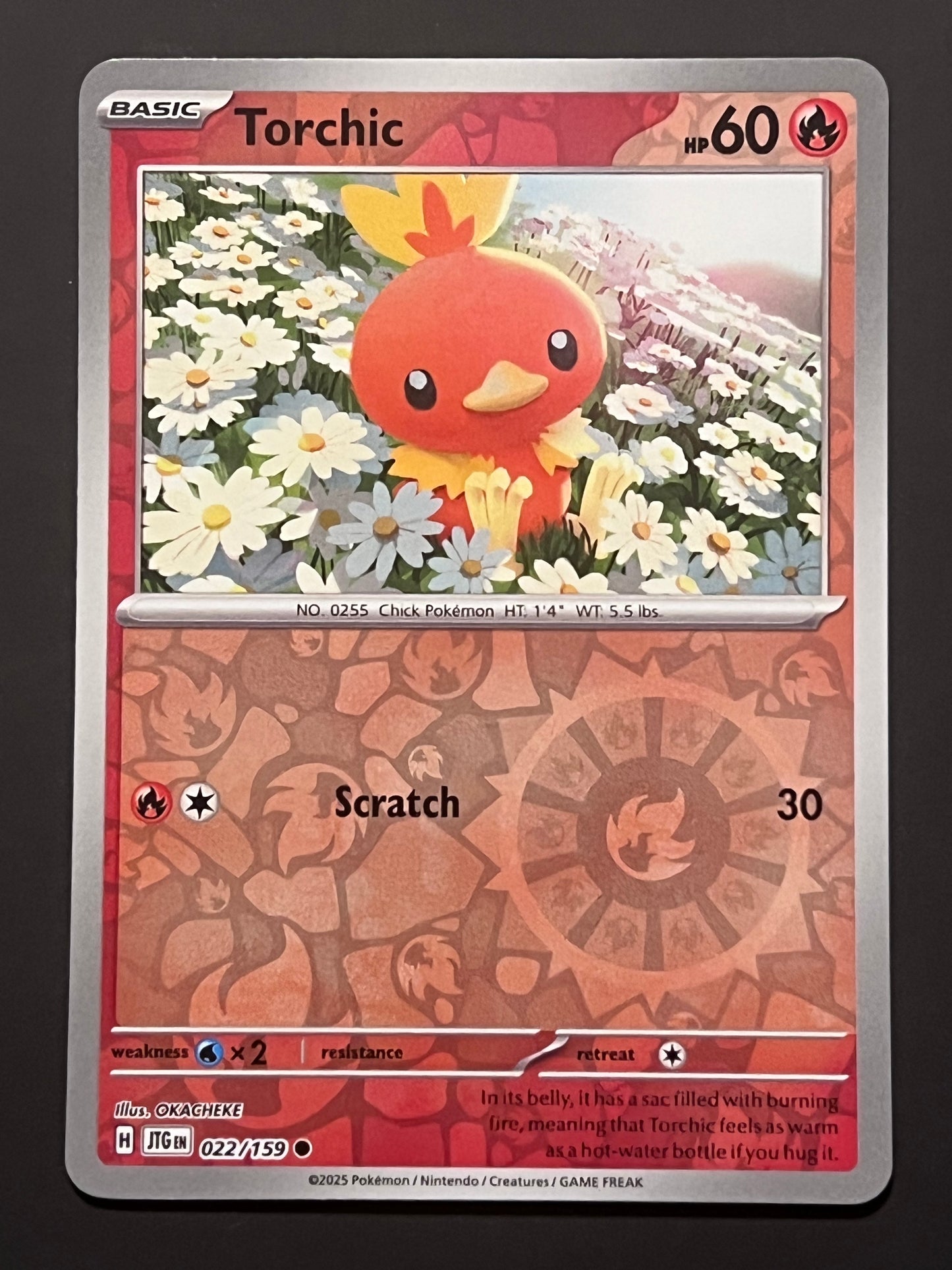 022/159 Torchic - Pokémon Journey Together Common Reverse