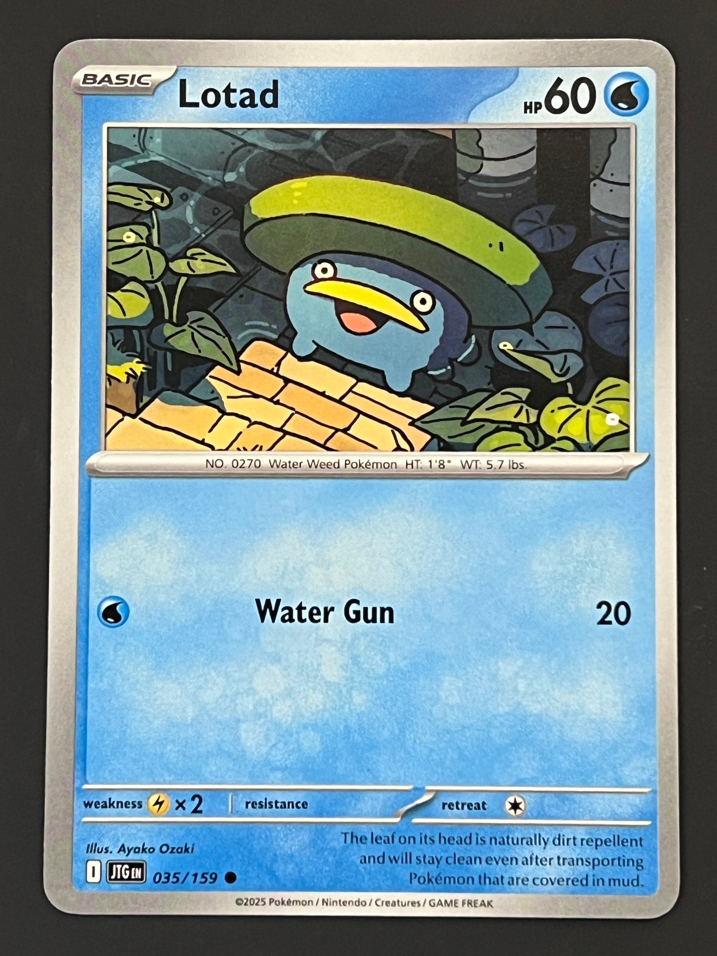 035/159 Lotad - Pokémon Journey Together Common