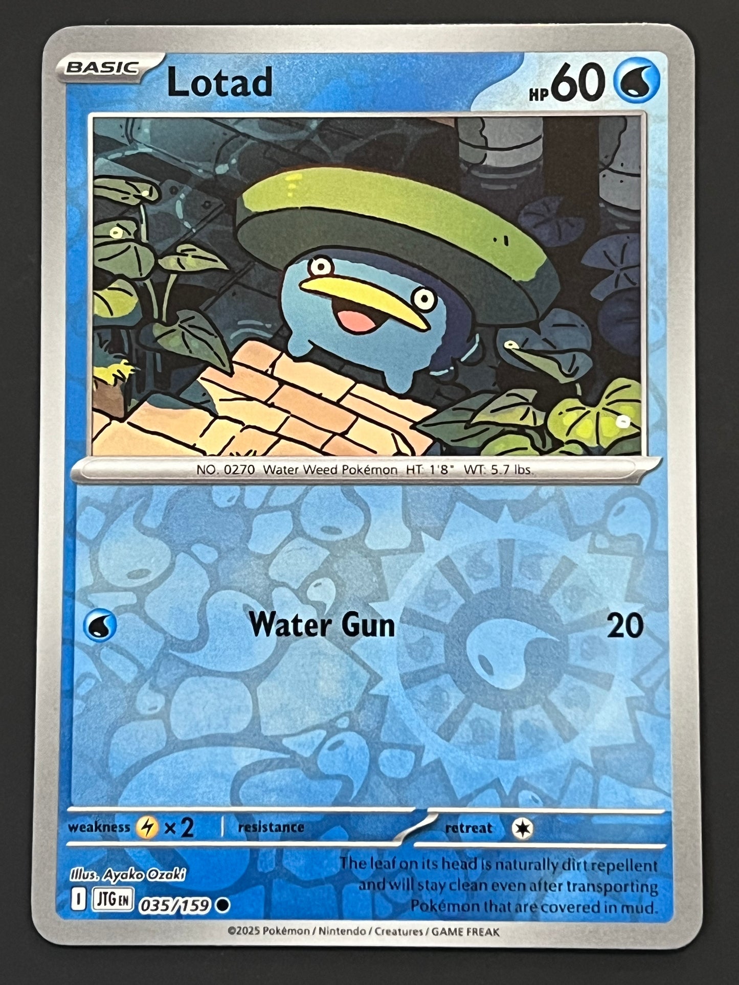 035/159 Lotad - Pokémon Journey Together Common Reverse