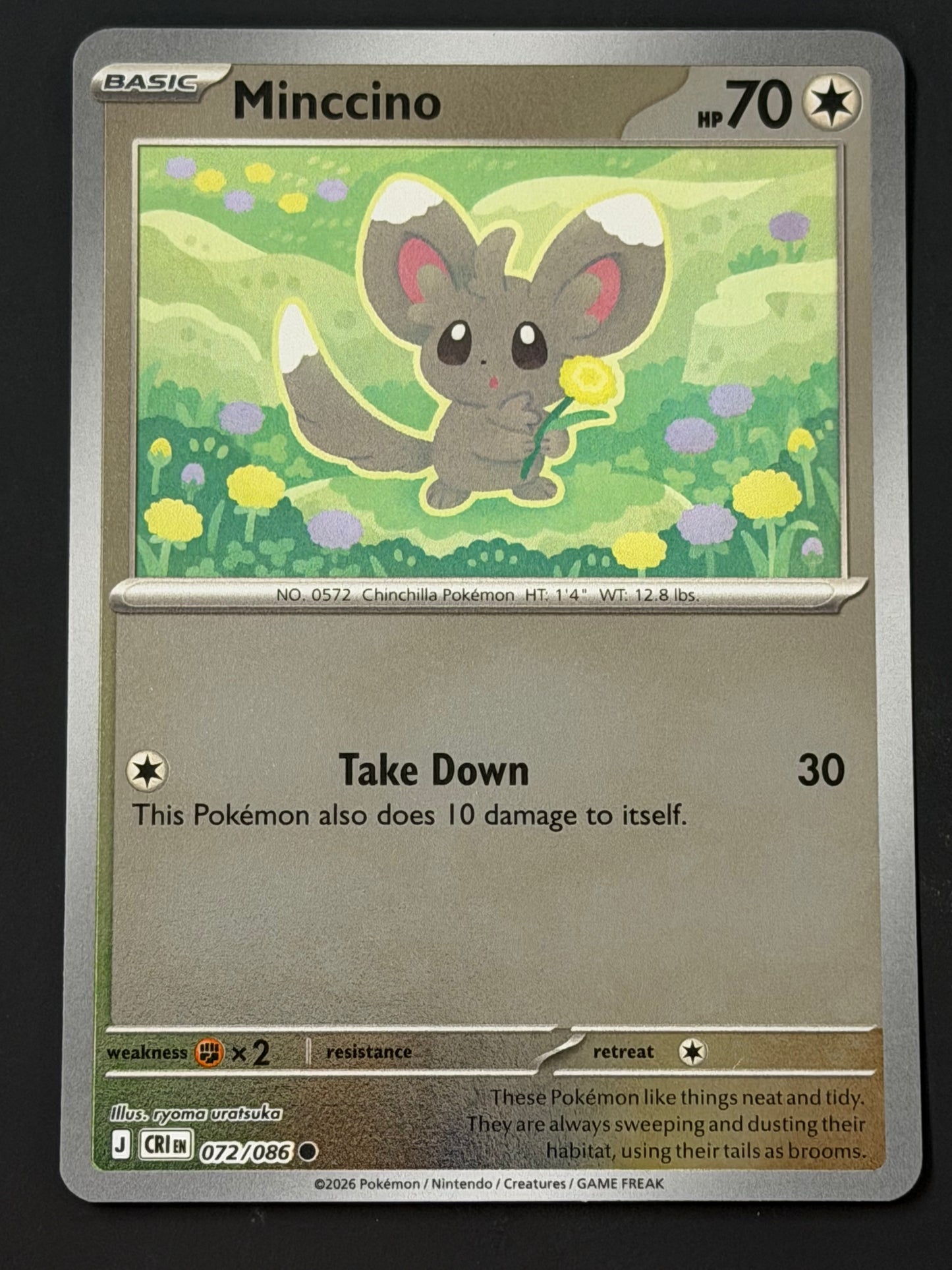 072/086 Minccino - Pokémon Chaos Rising Common Reverse