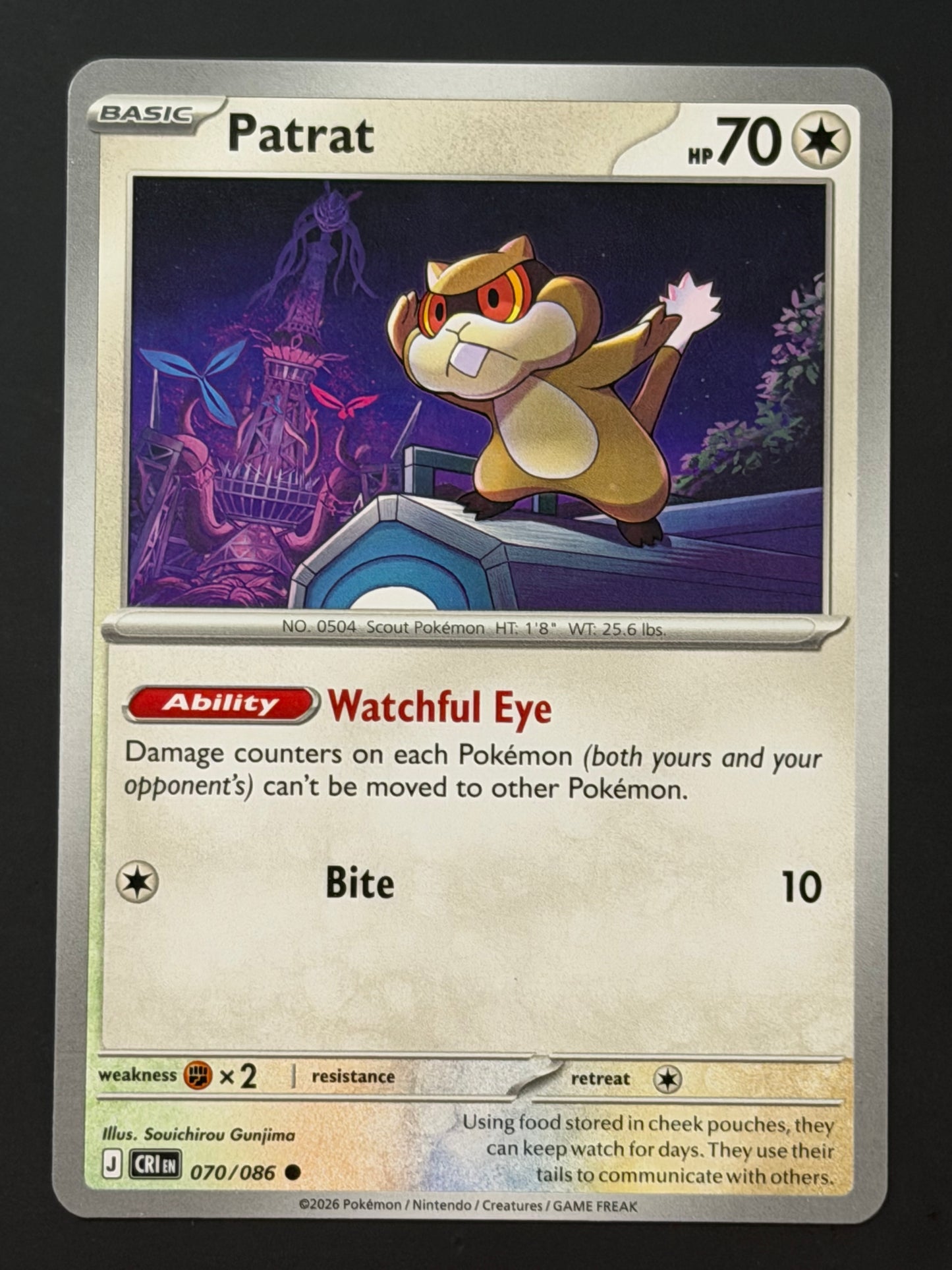 070/086 Patrat - Pokémon Chaos Rising Common