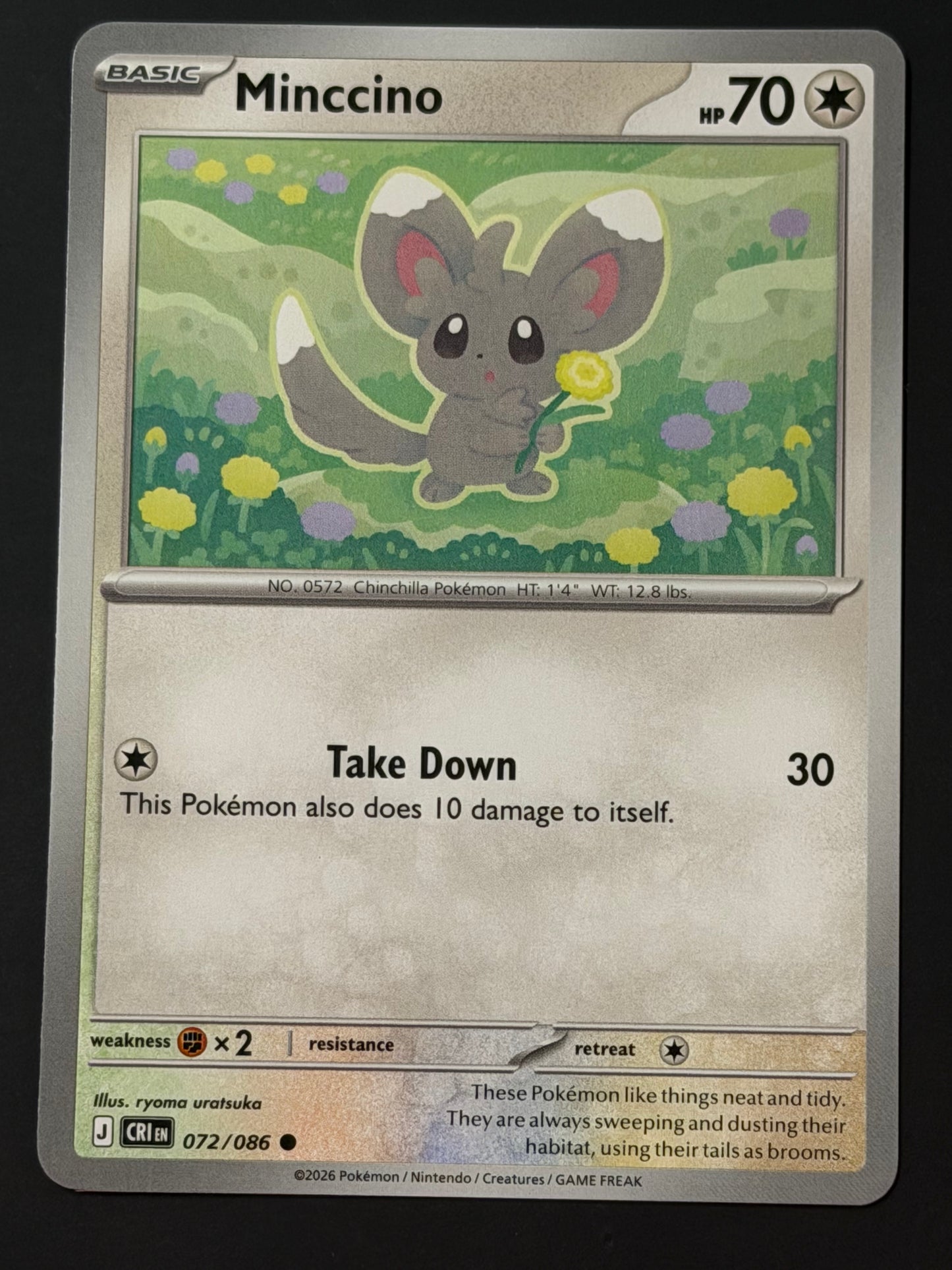 072/086 Minccino - Pokémon Chaos Rising Common