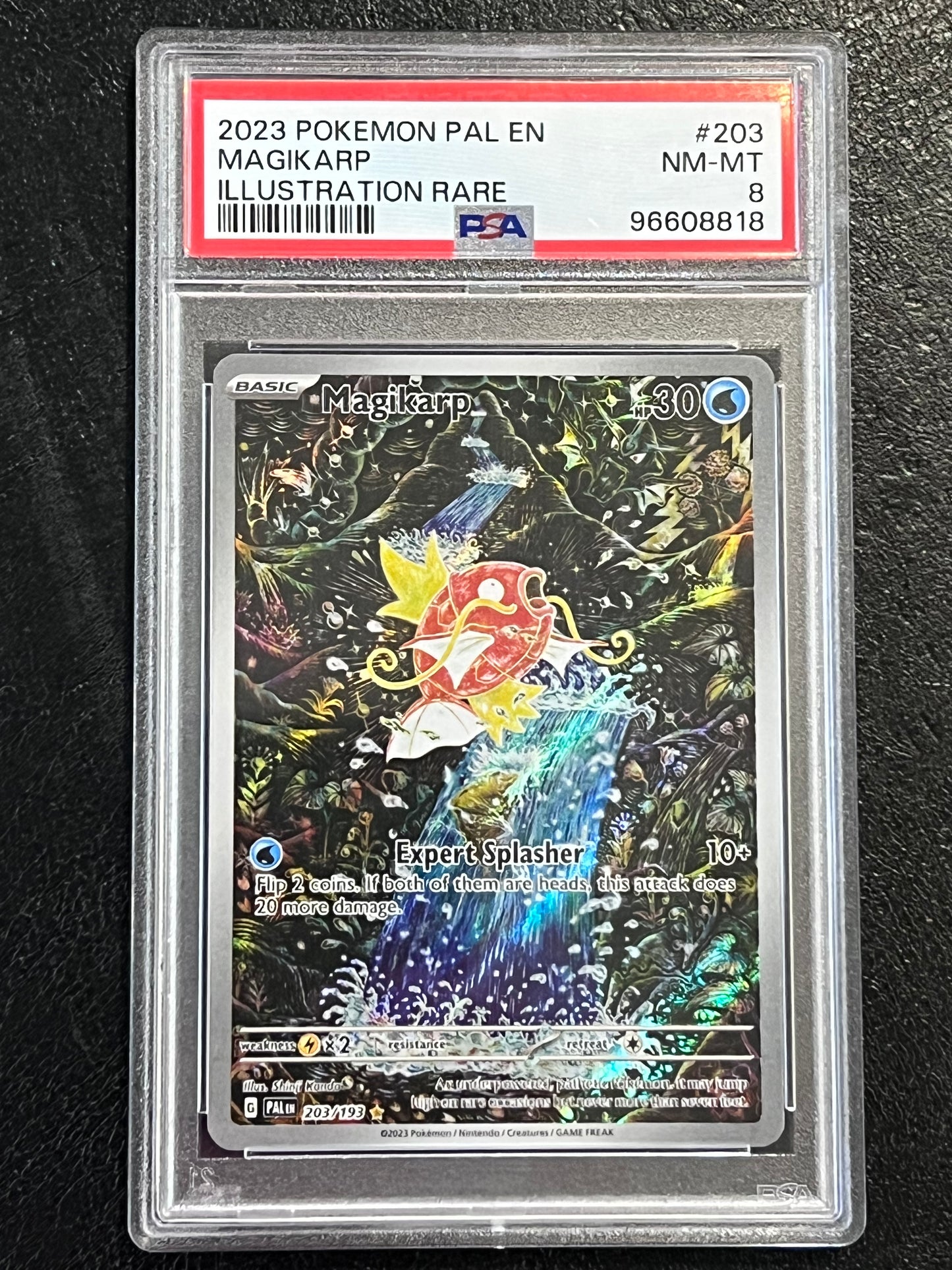 PSA Magikarp - 203/193 Paldea Evolved Illustration Rare NEARMINT/MINT Grade 8