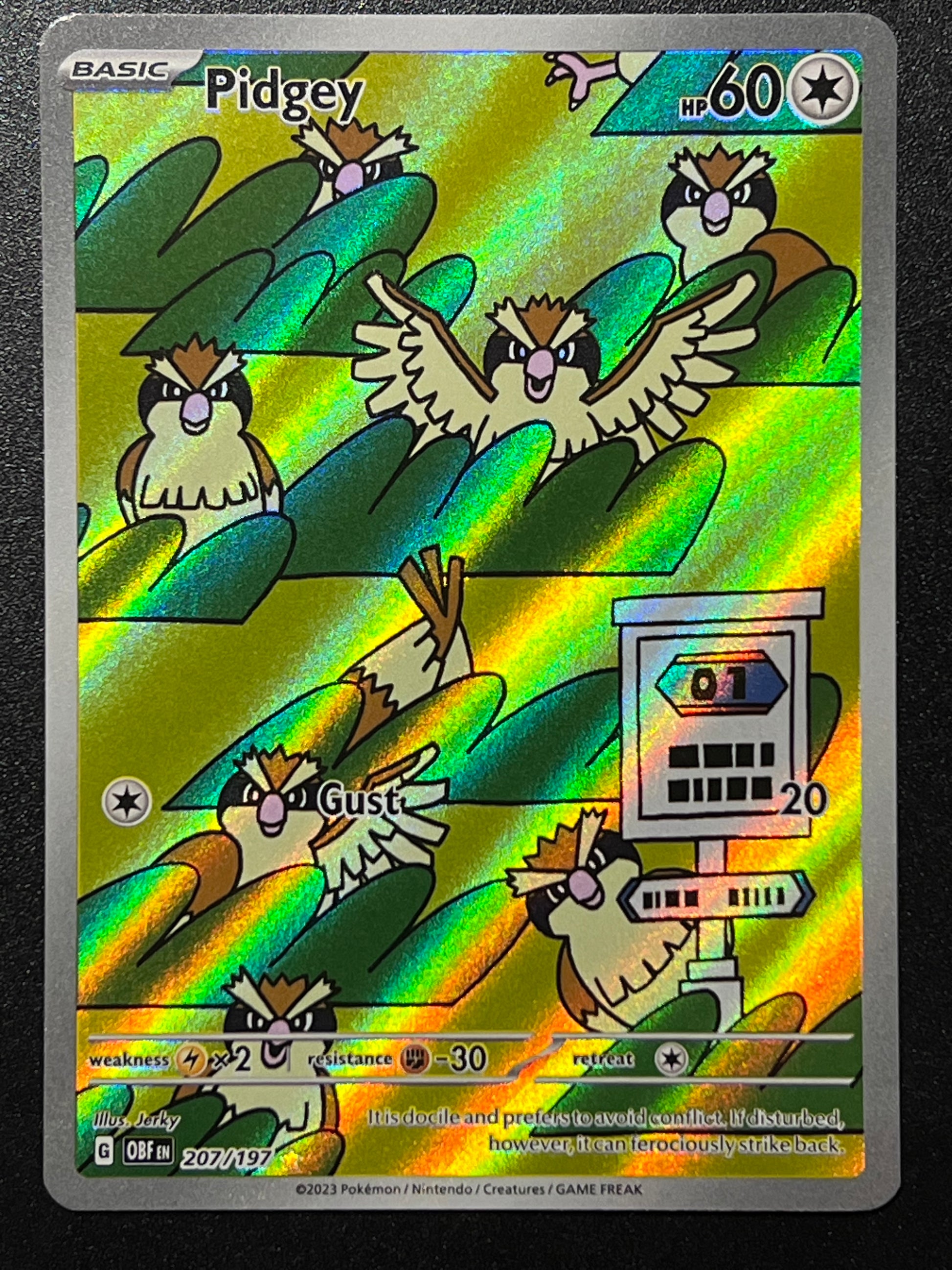 207/197 pokemon card 207/197 Pidgey