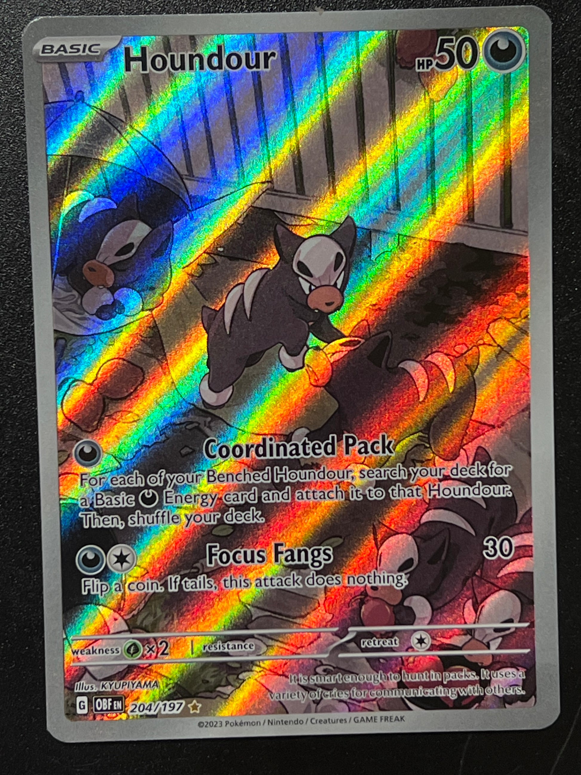 204 197 pokemon card 204/197 Houndour