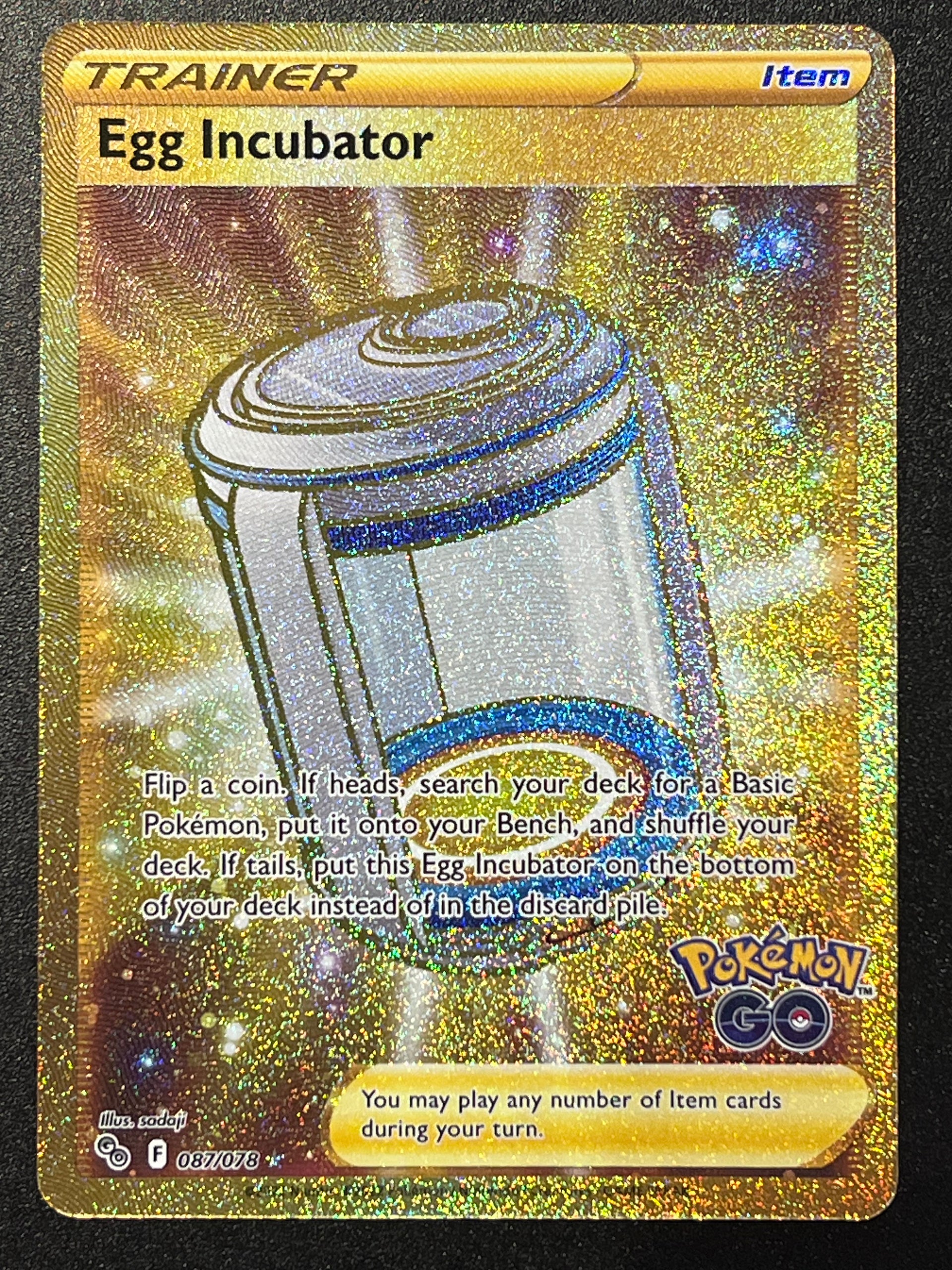 Egg Incubator