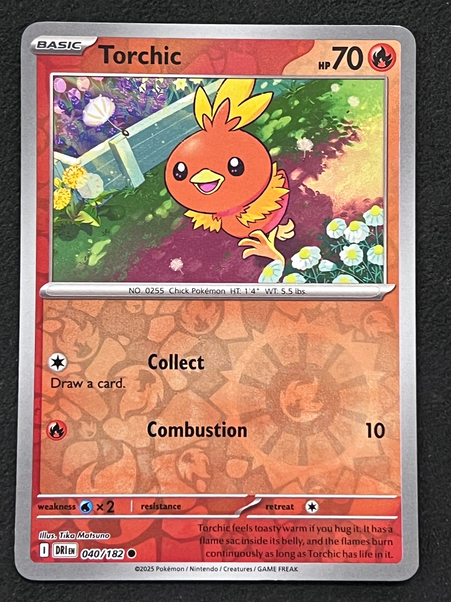 040/182 Torchic - Pokémon Destined Rivals Common Reverse