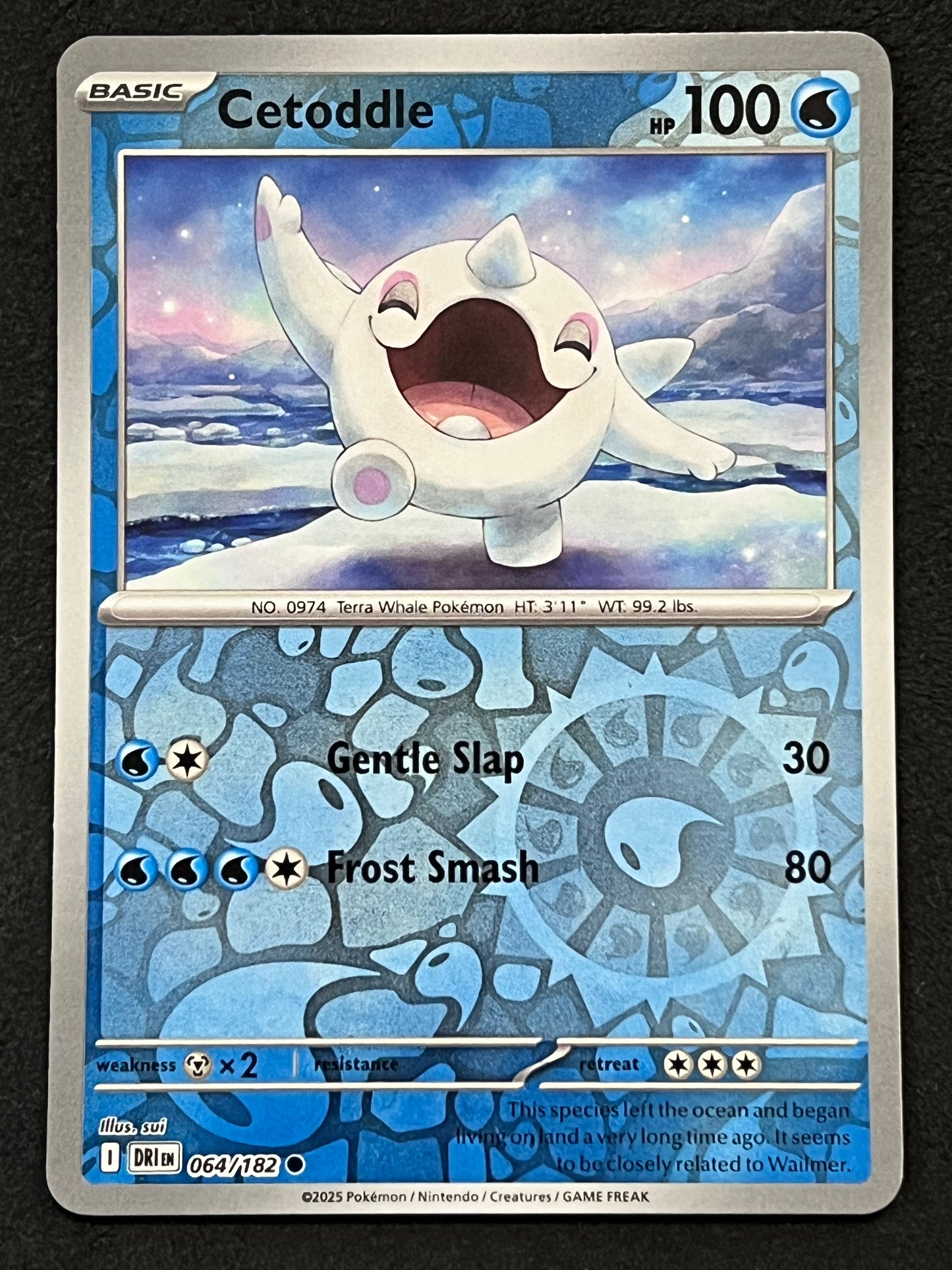 064/182 Cetoddle - Pokémon Destined Rivals Common Reverse