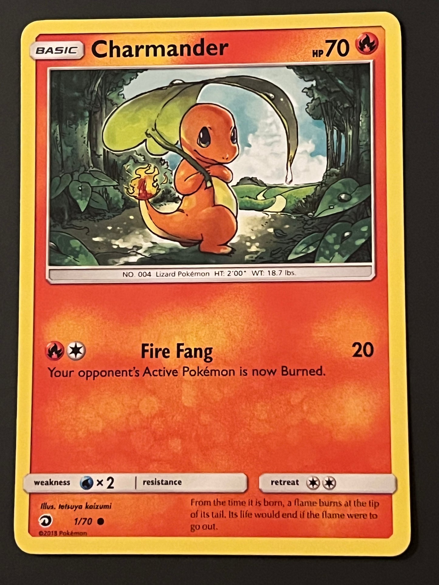 01/70 Charmander - Pokémon Dragon Majesty Common