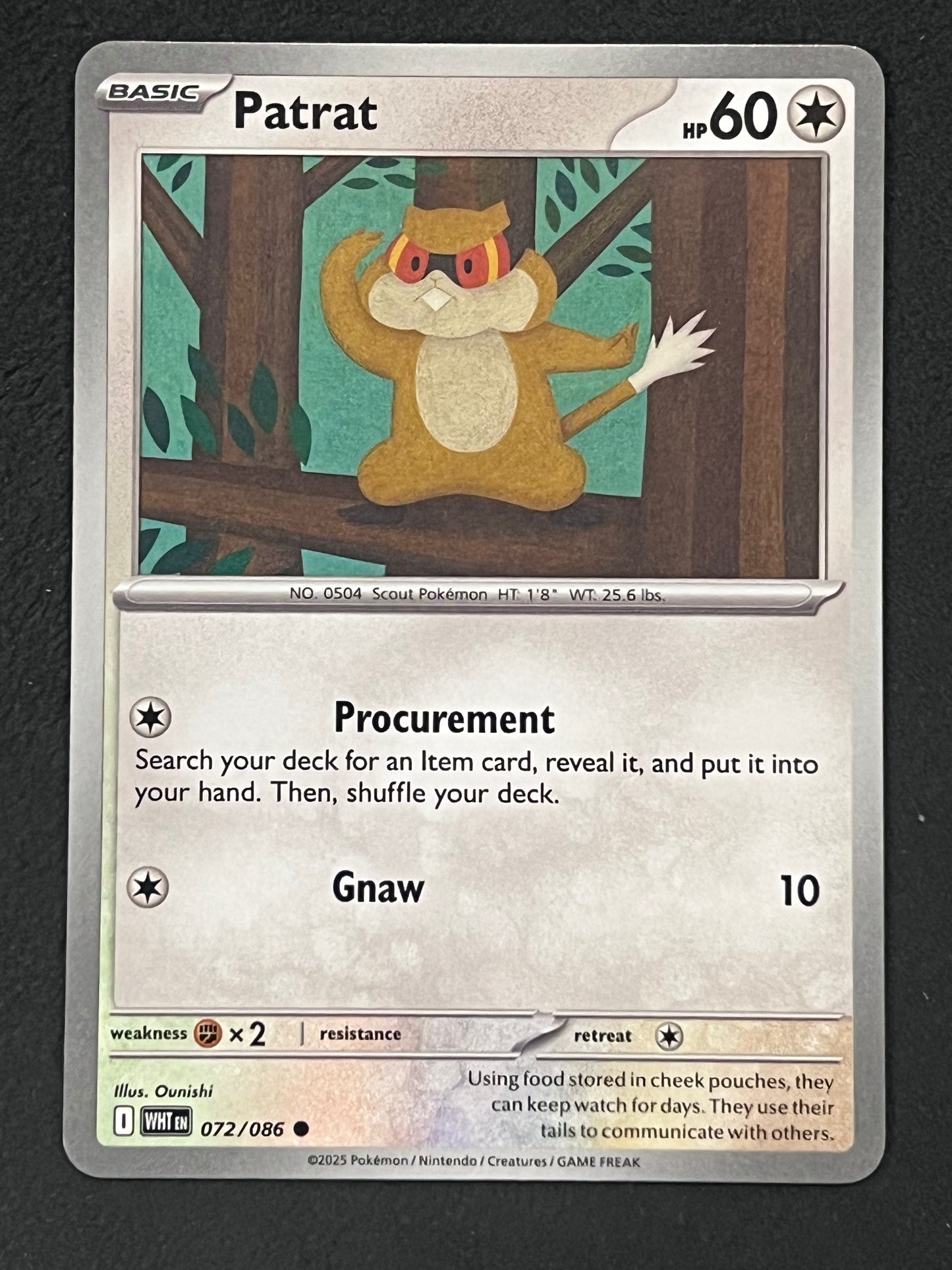 072/086 Patrat - Pokémon White Flare Common