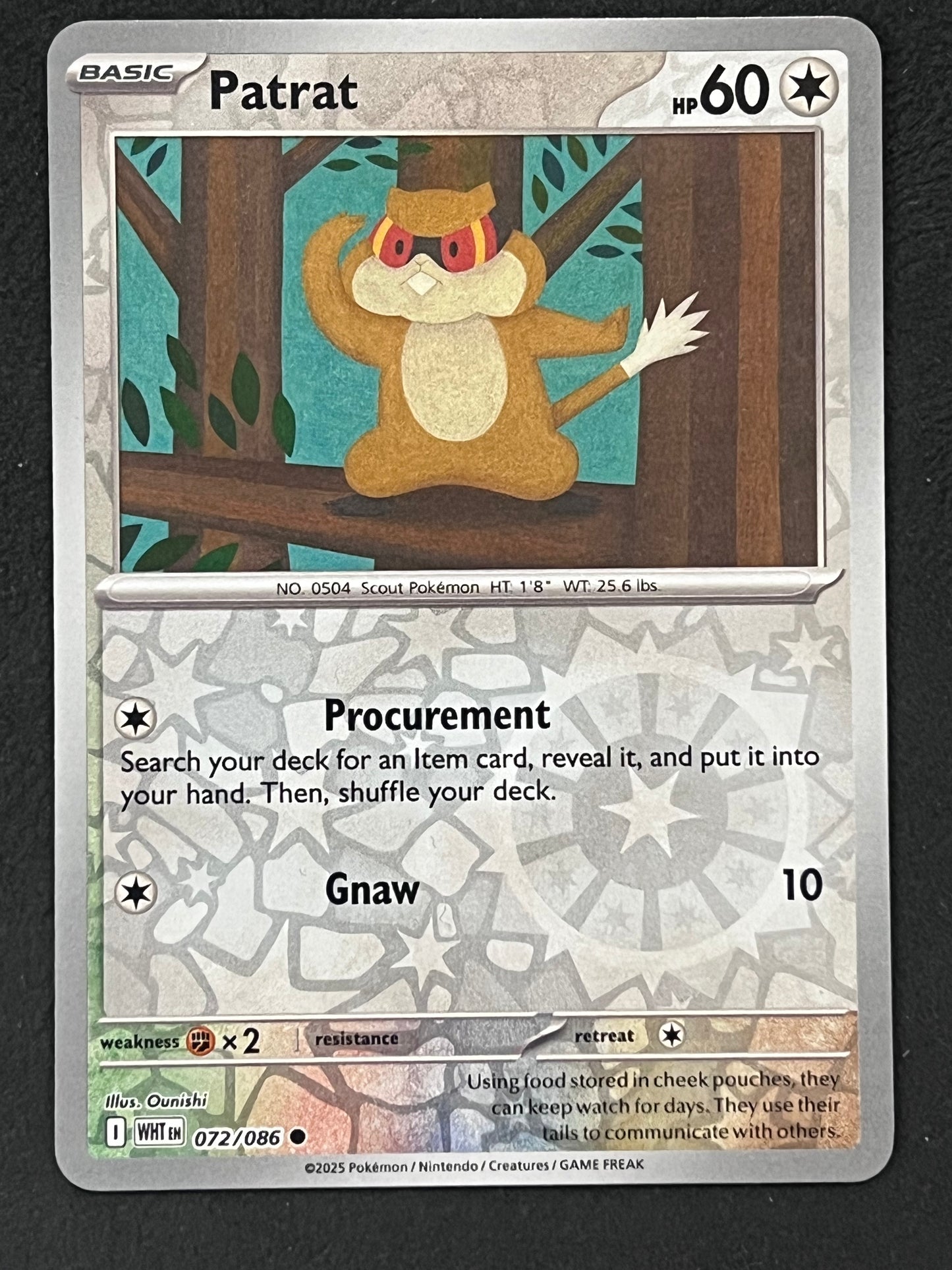 072/086 Patrat - Pokémon White Flare Common Reverse