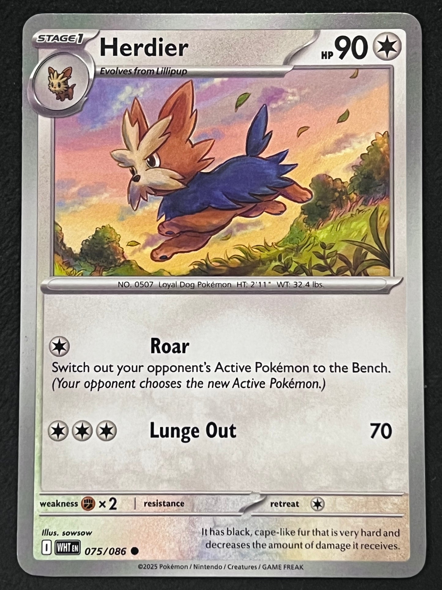 075/086 Herdier - Pokémon White Flare Common