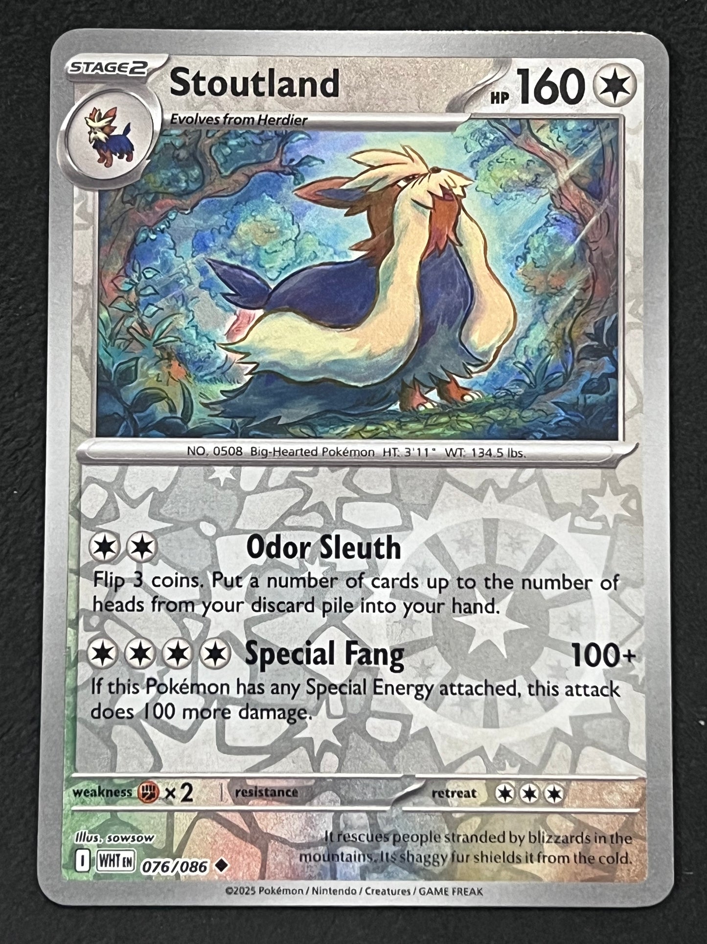 076/086 Stoutland - Pokémon White Flare Uncommon Reverse