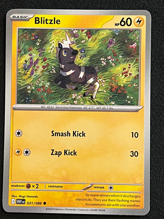 031/086 Blitzle - Pokémon White Flare Common