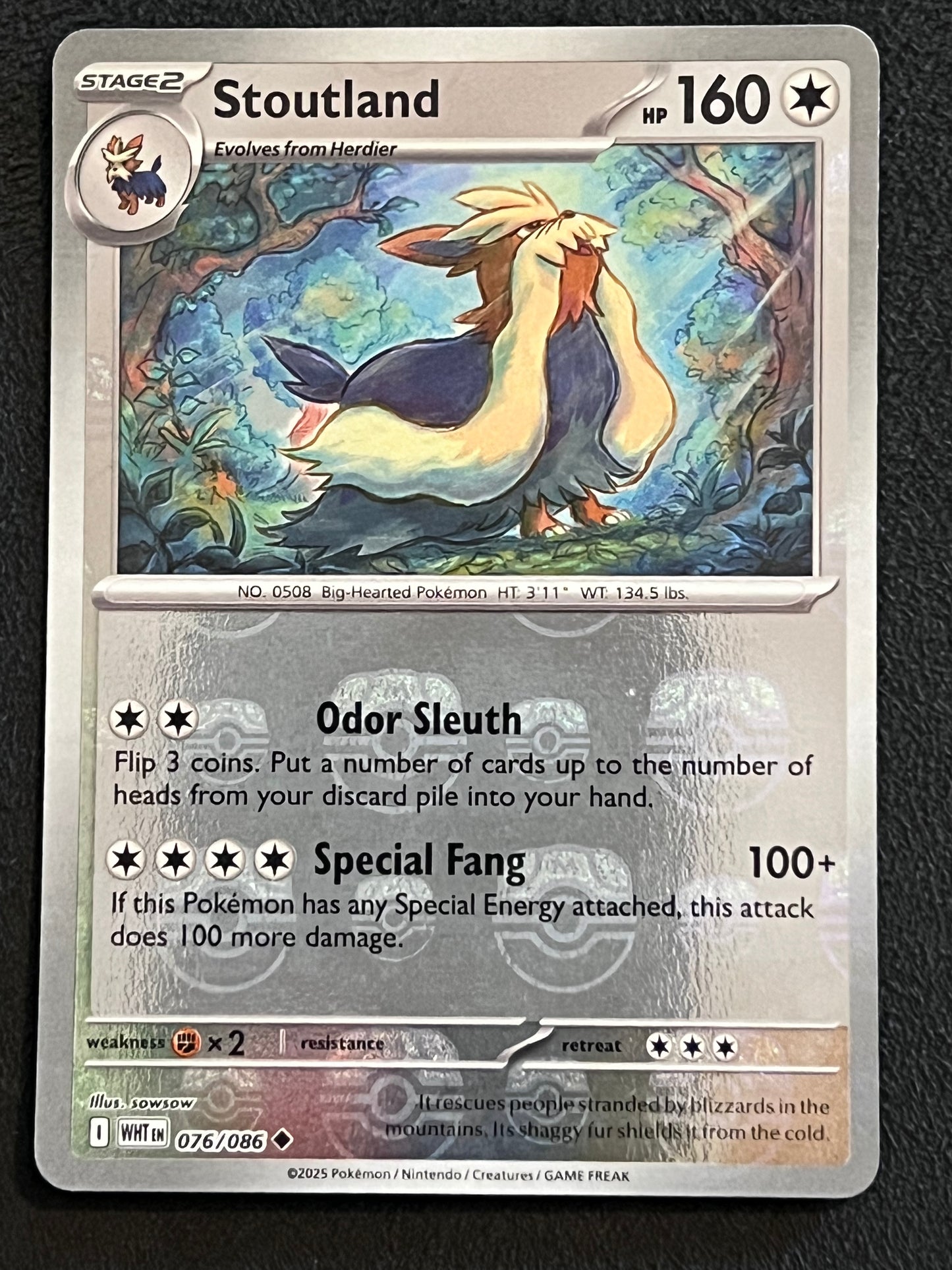 076/086 Stoutland - Pokémon White Flare Uncommon Reverse MASTERBALL