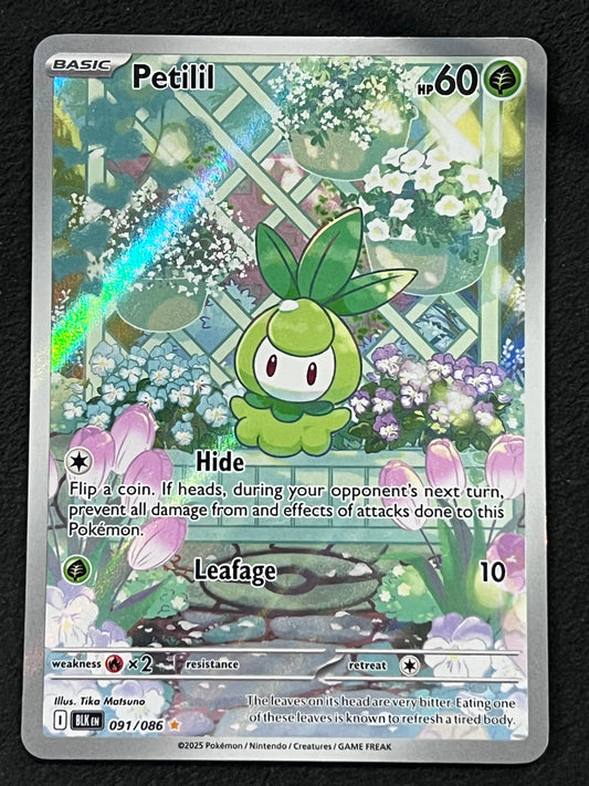 091/086 Petilil - Pokémon Black Bolt Illustration Rare