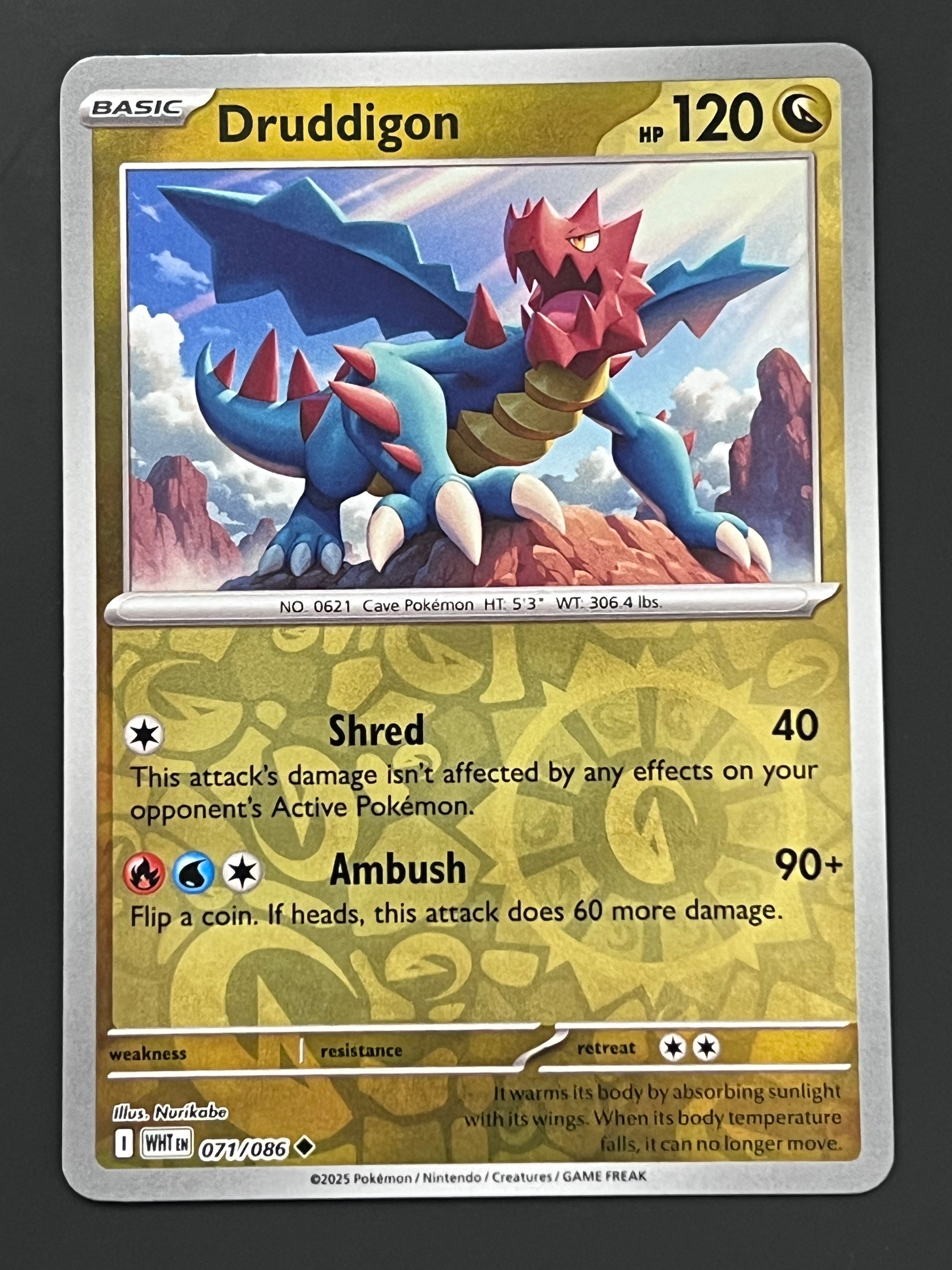 pokemon card druddigon 071/086 Druddigon