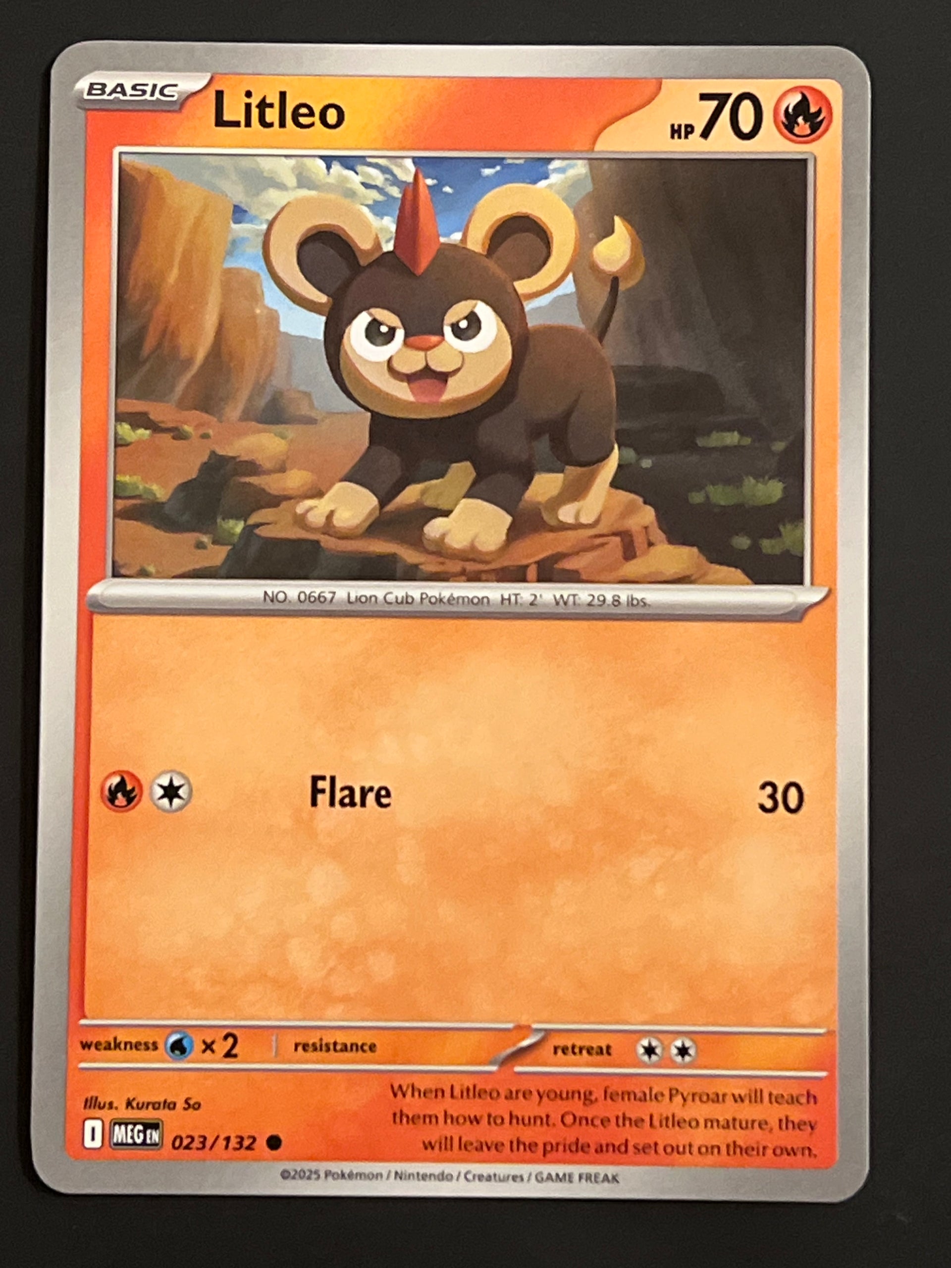 pokemon card litleo 023/132 [1] Live Coal (10) Weakness / Resistance / Retreat Cost Pokemon - Litleo 015/131 Prismatic
