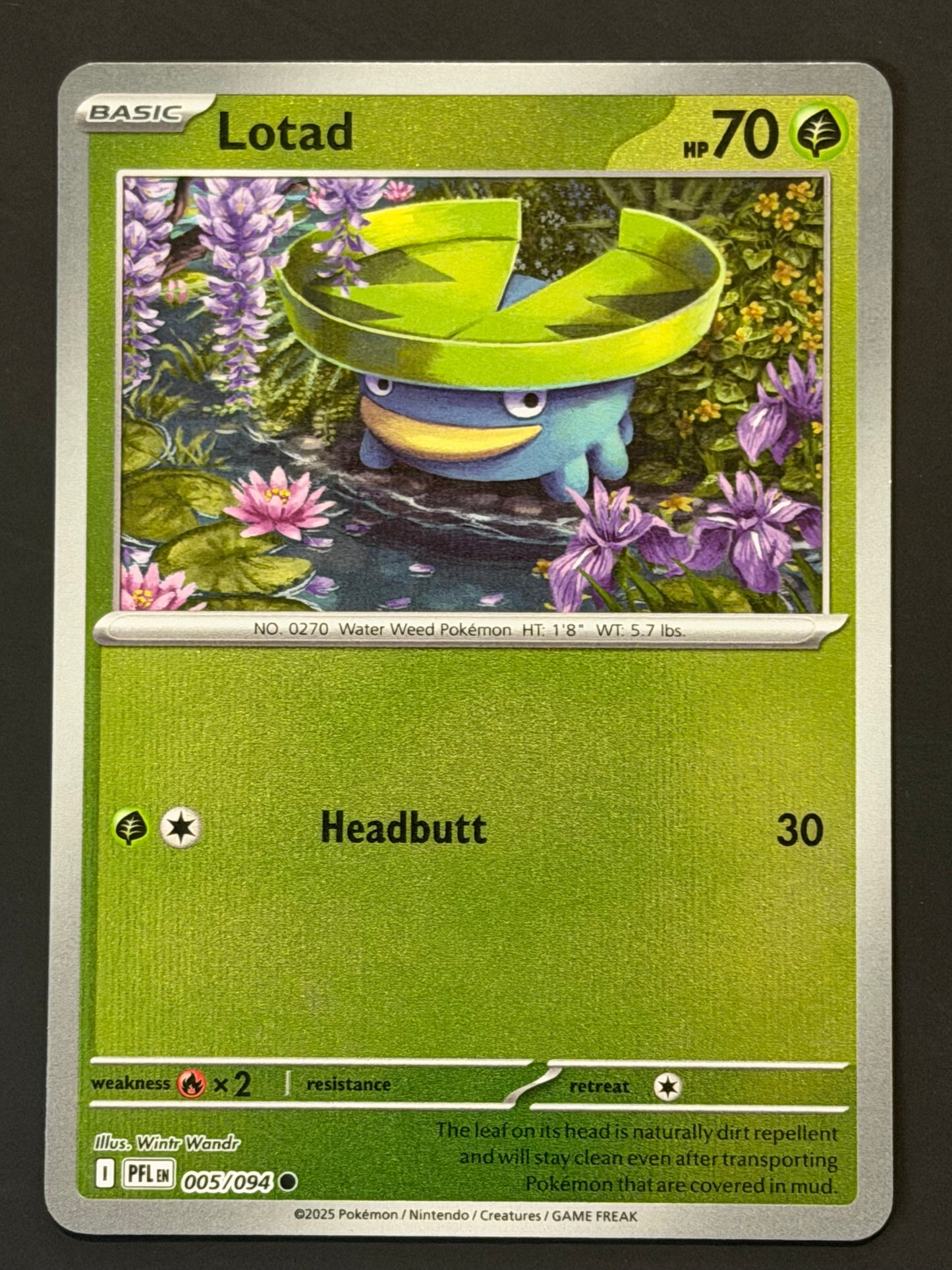 005/094 Lotad - Pokémon Phantasmal Flames Common Reverse