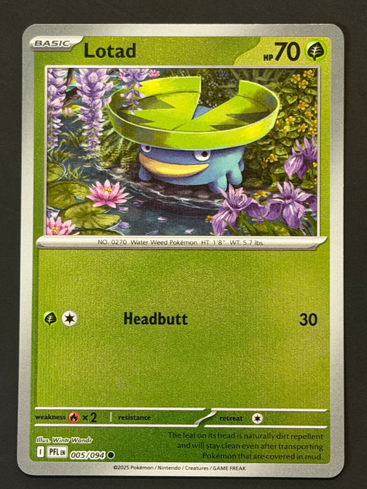 005/094 Lotad - Pokémon Phantasmal Flames Common Reverse