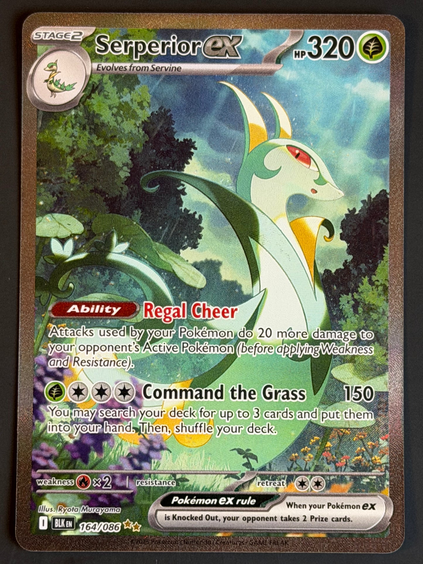 164/086 Serperior Ex - Pokémon Black Bolt Special Illustration Rare