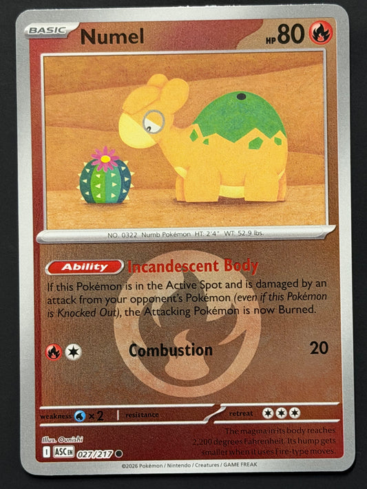 027/217 Numel - Pokémon Ascended Heroes Common Reverse
